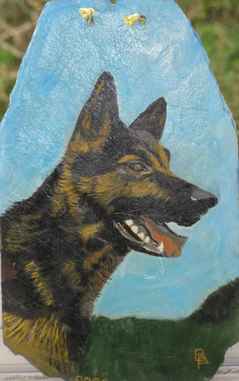 294-Chien loup.JPG