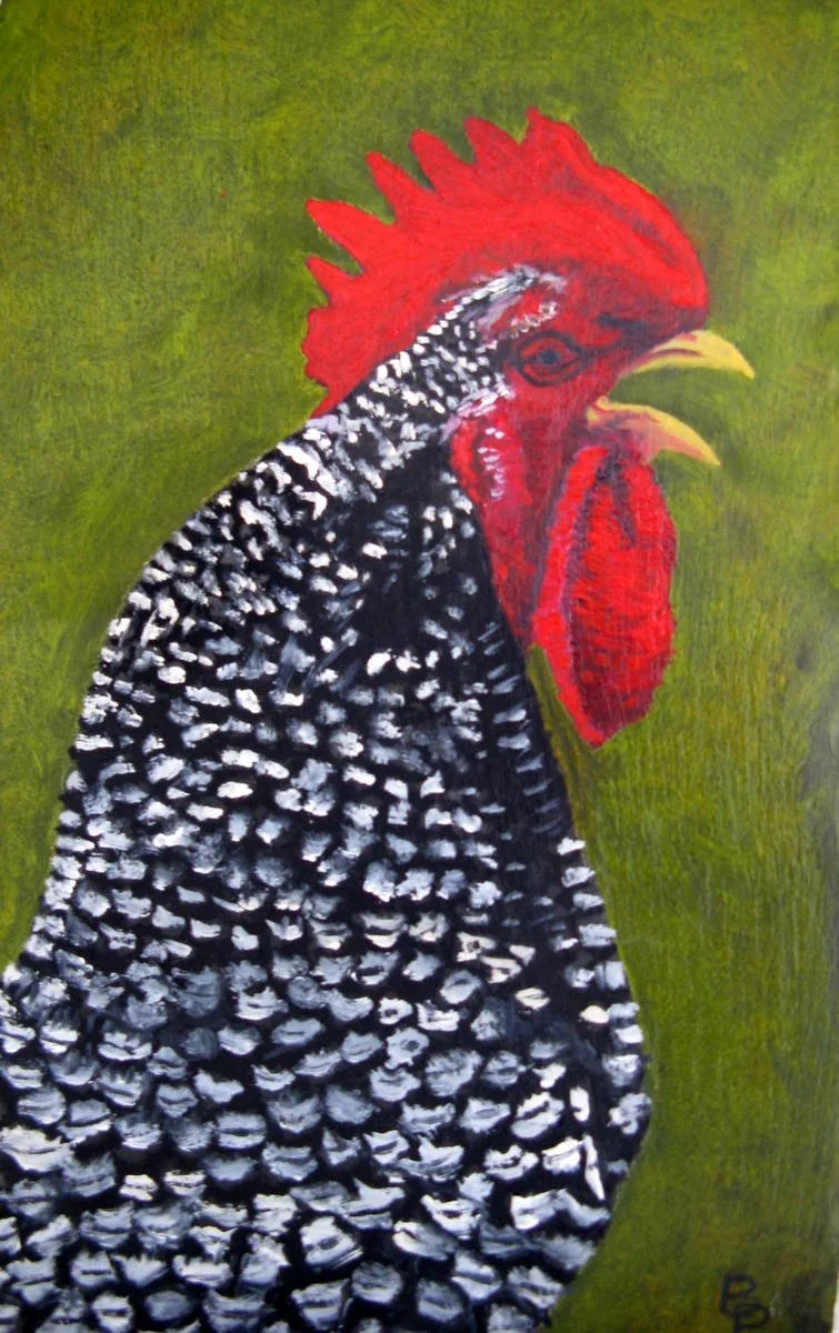 197- le coq gris.JPG