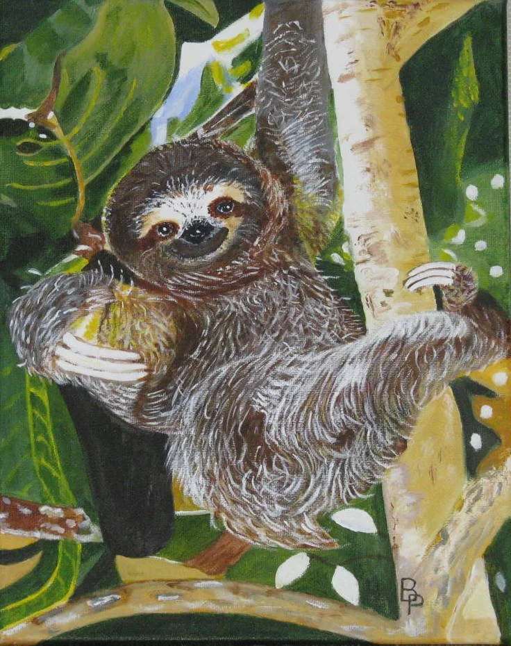 Le paresseux