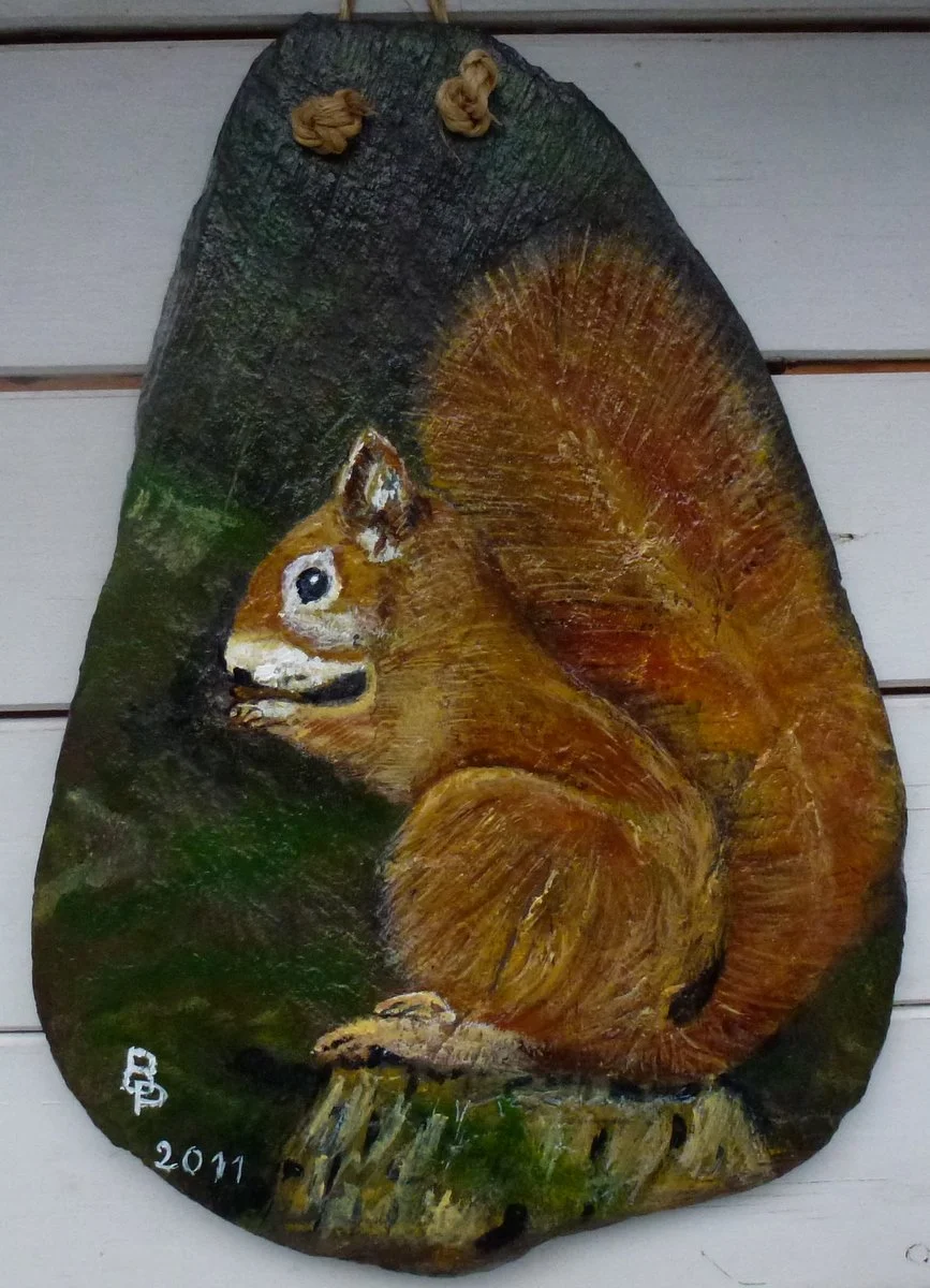 161- l'écureuil.JPG