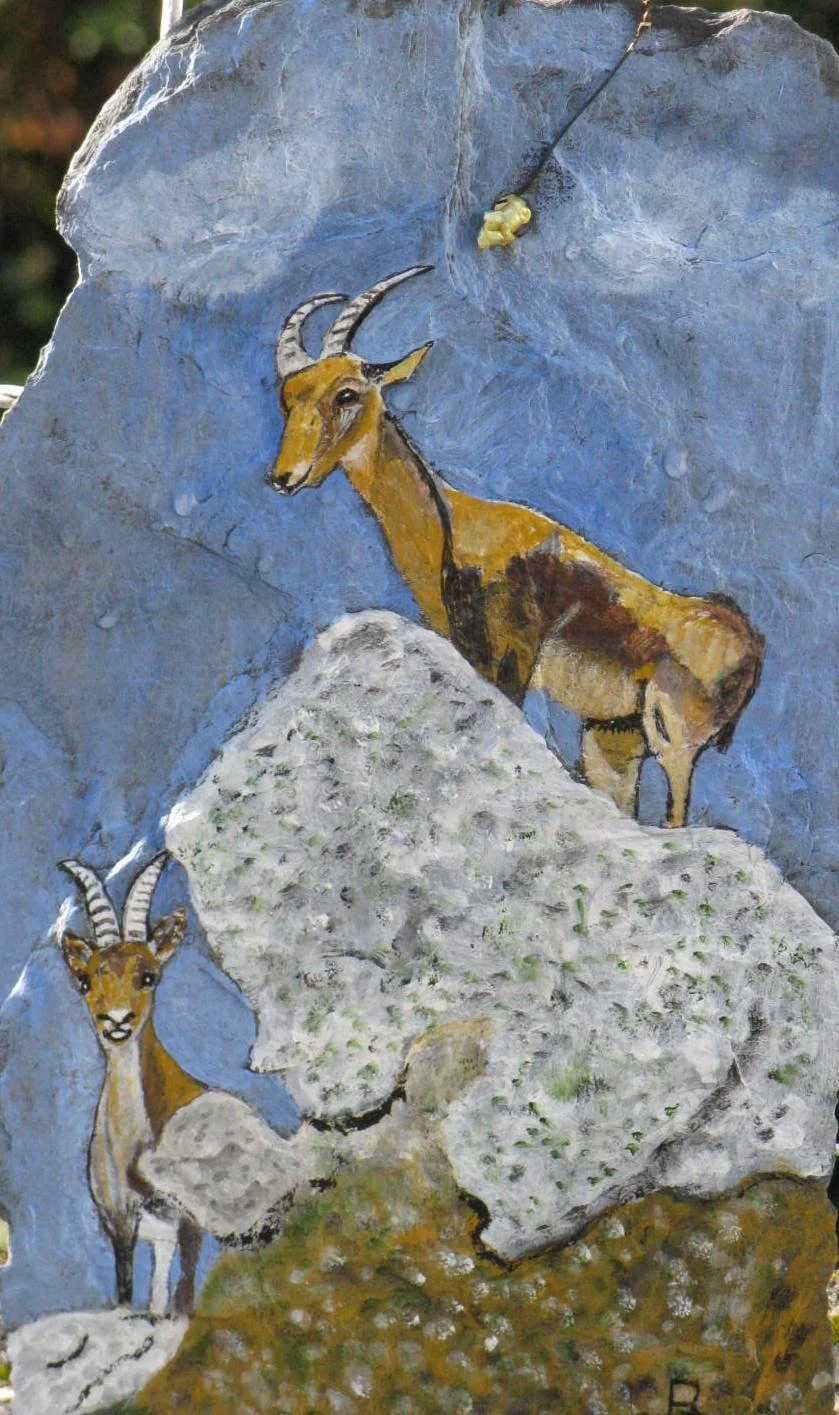 272 - les chamois.JPG