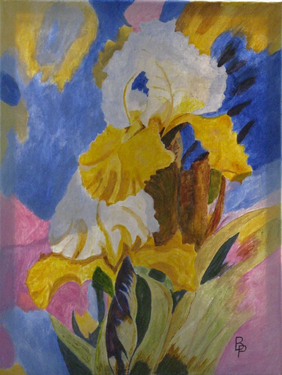 Iris