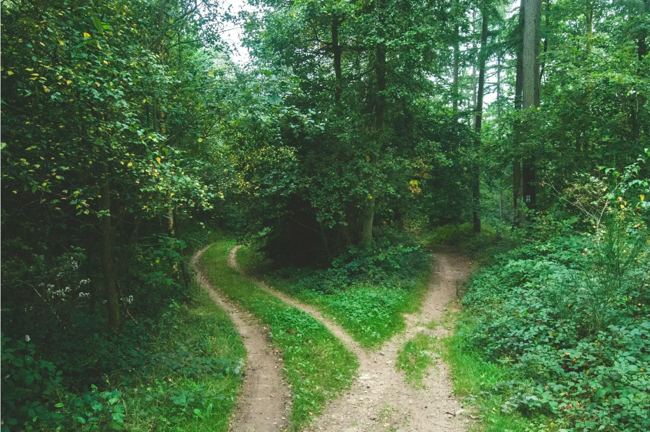 Finding Your Path