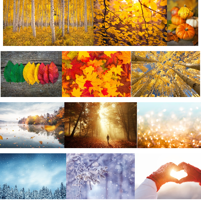 Source Activation Autumn and Winter Solstice Circles with Vanessa Gates-Elston