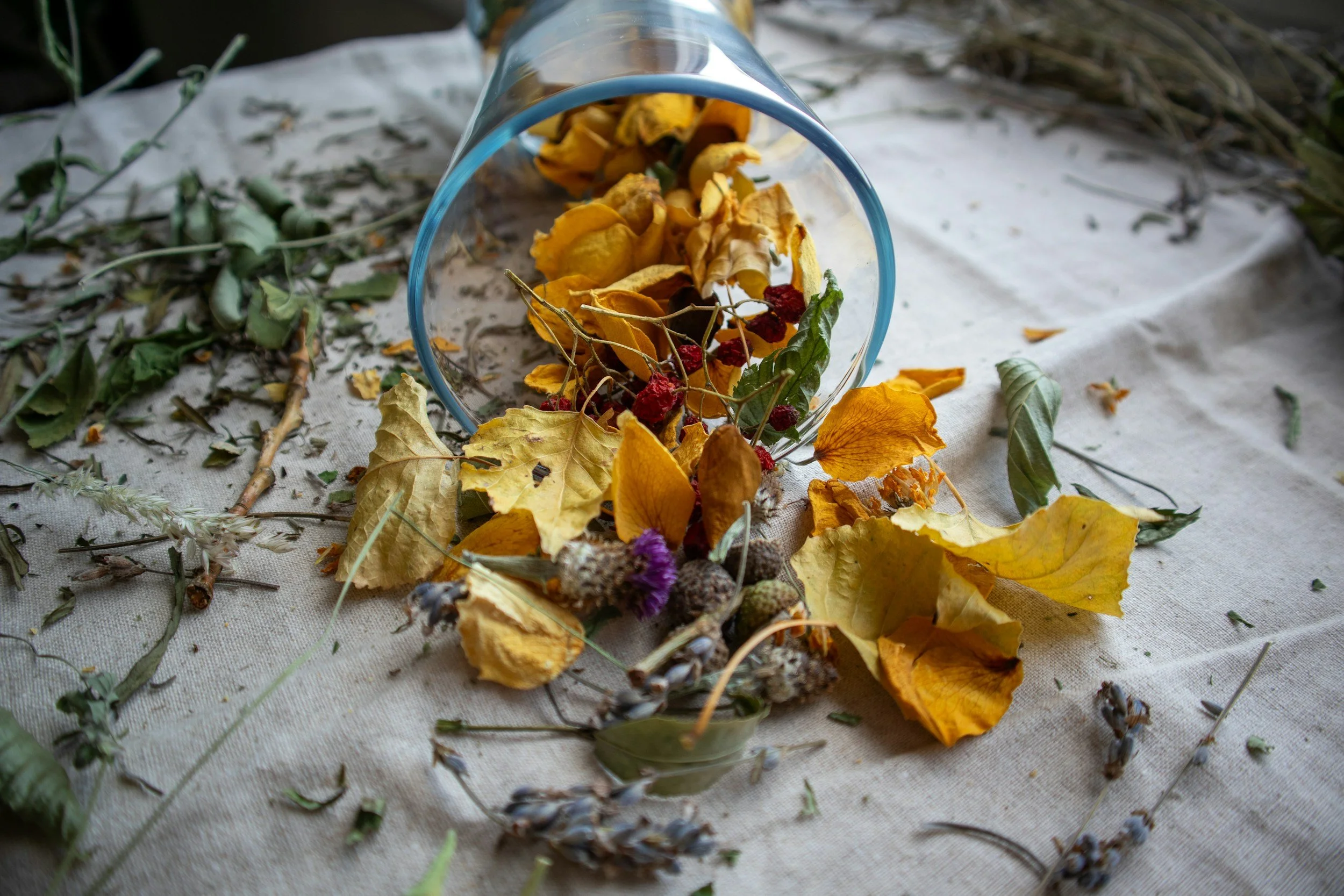 Real Health Insurance: Healing Yourself with Ayurveda