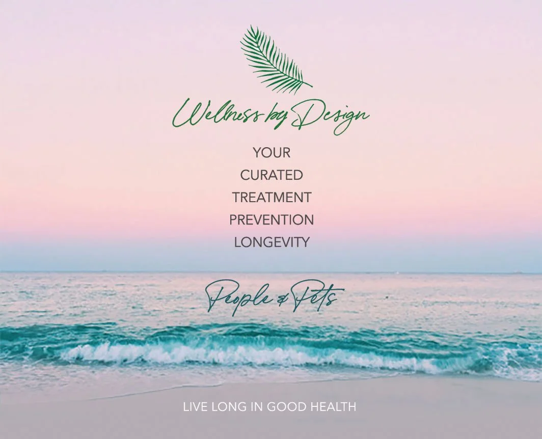 Spa or wellness center promotional flyer with a pastel pink and blue beach background, green palm leaf graphic, and elegant text advertising wellness services for people and pets.