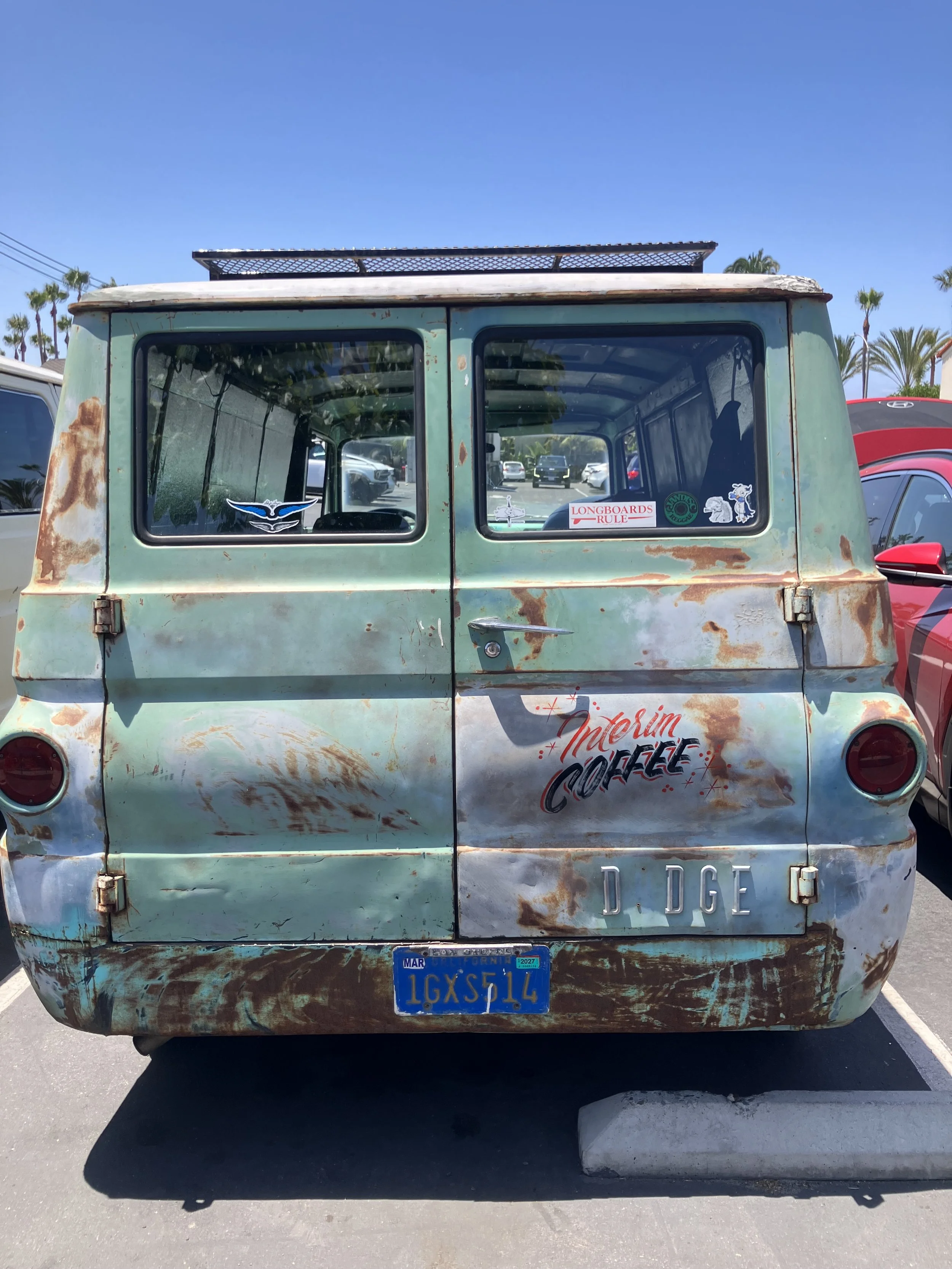 IMG_8784.jpeg