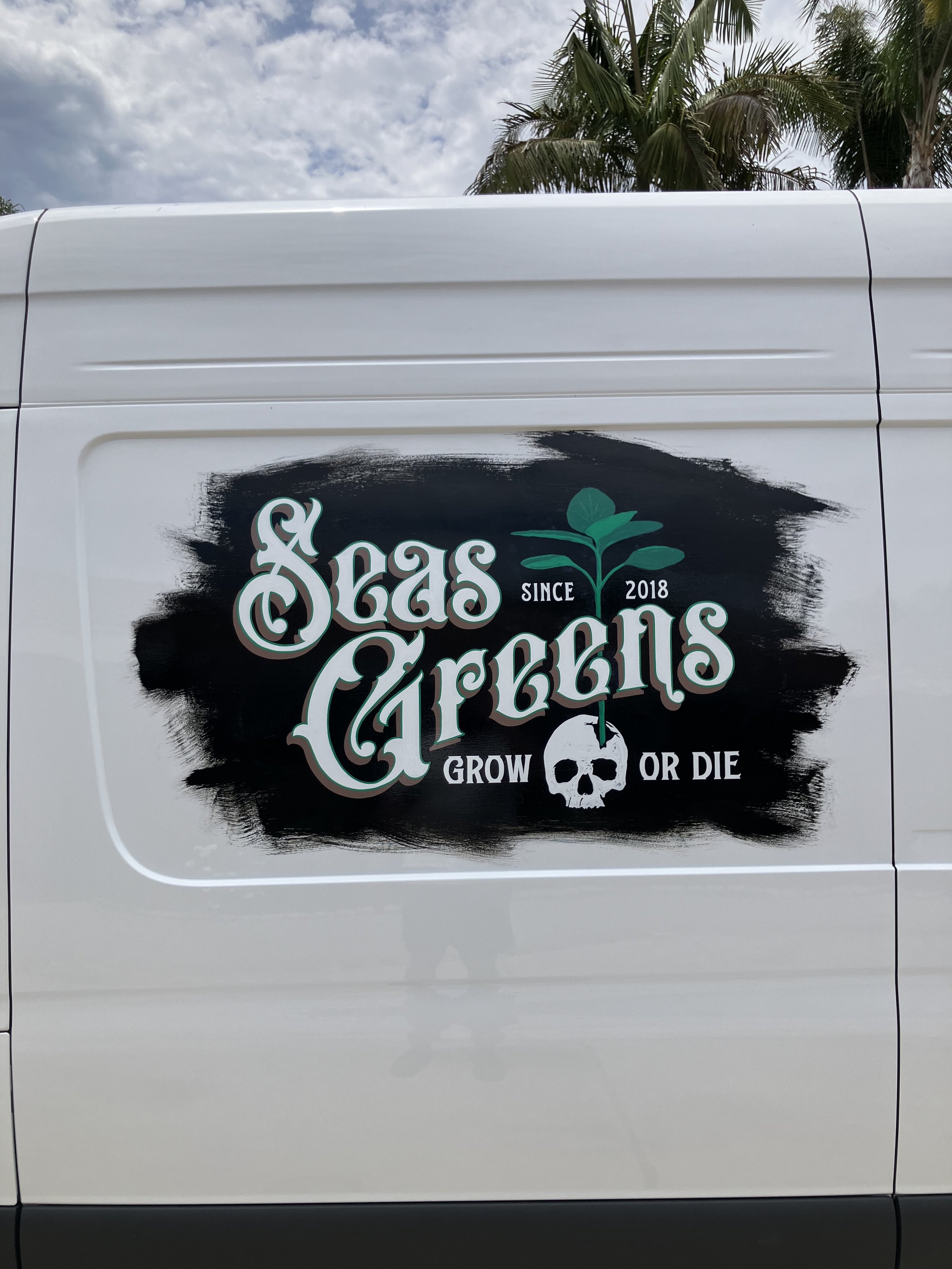 Vehicle with a decal that has the words 'Sea Cannabis' in stylized font, a green cannabis plant graphic, a skull graphic, and the phrase 'Grow or Die'.