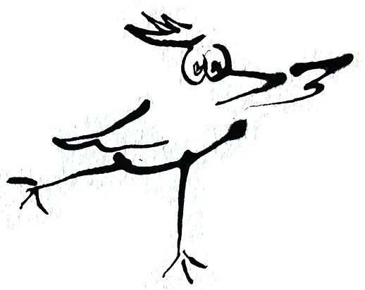 Aurelia Meister - Bird drawn in Chinese ink on paper