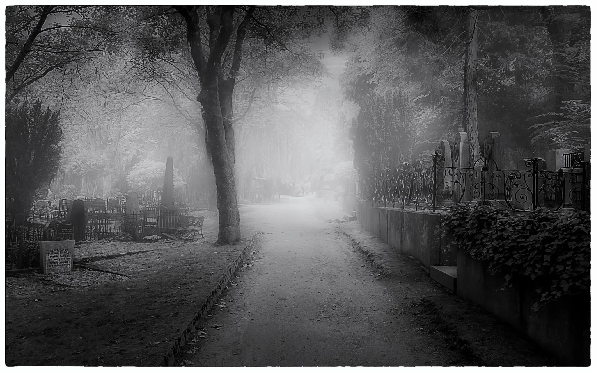 Lagård Gravlund Fog2BW.jpg