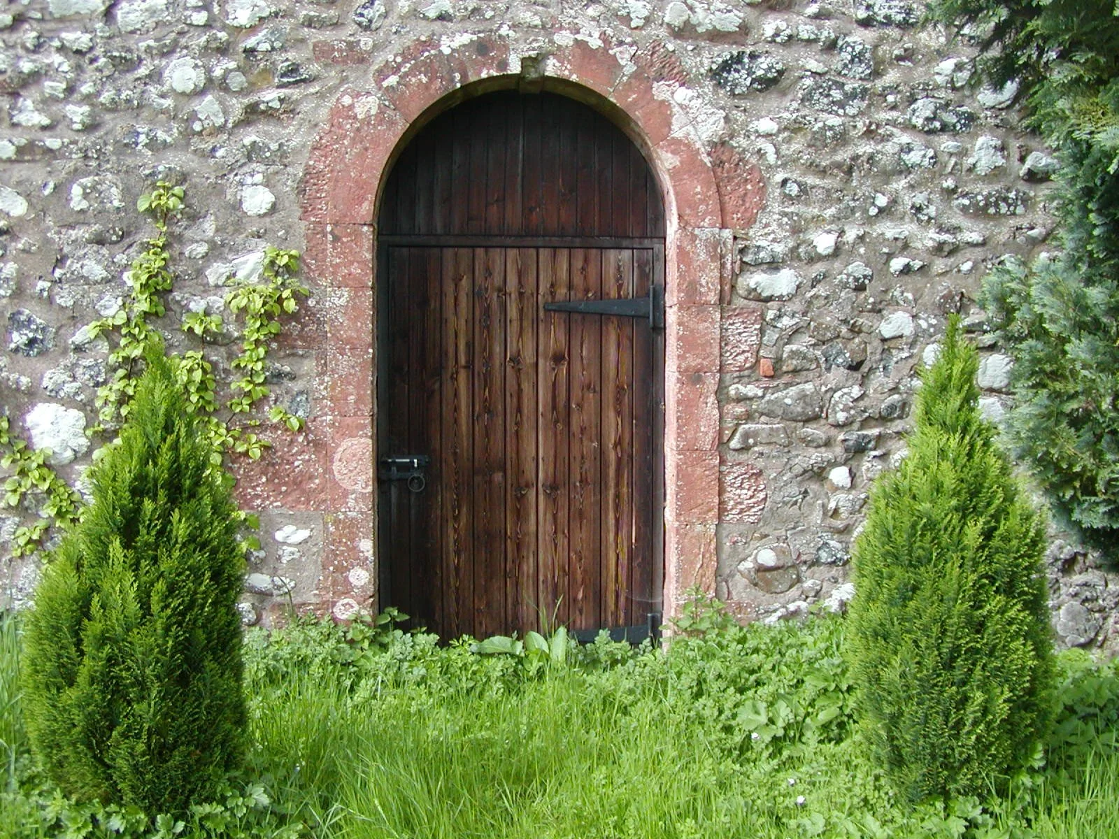 P1010077-2.jpg