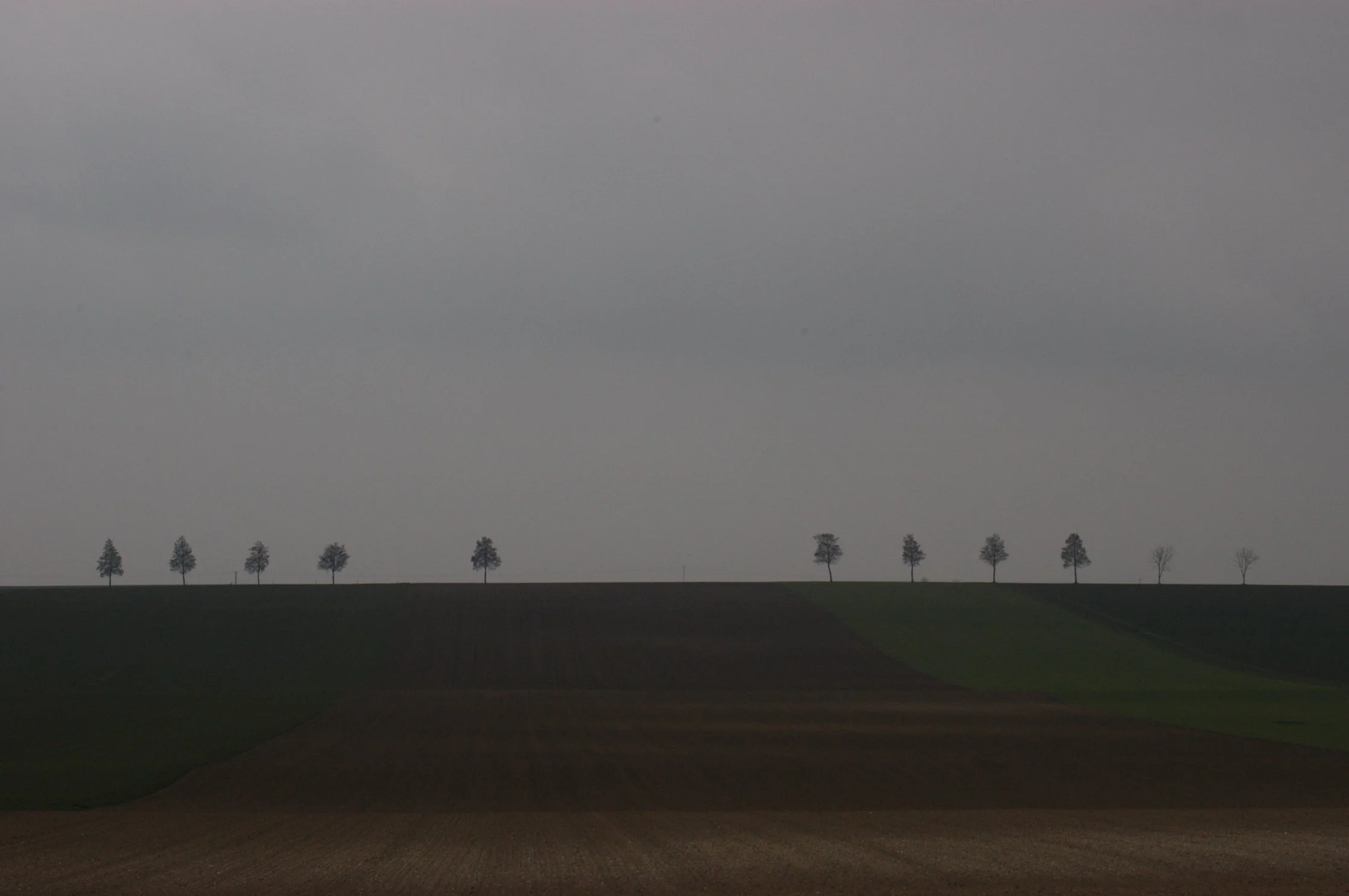 DSC_0705.jpg