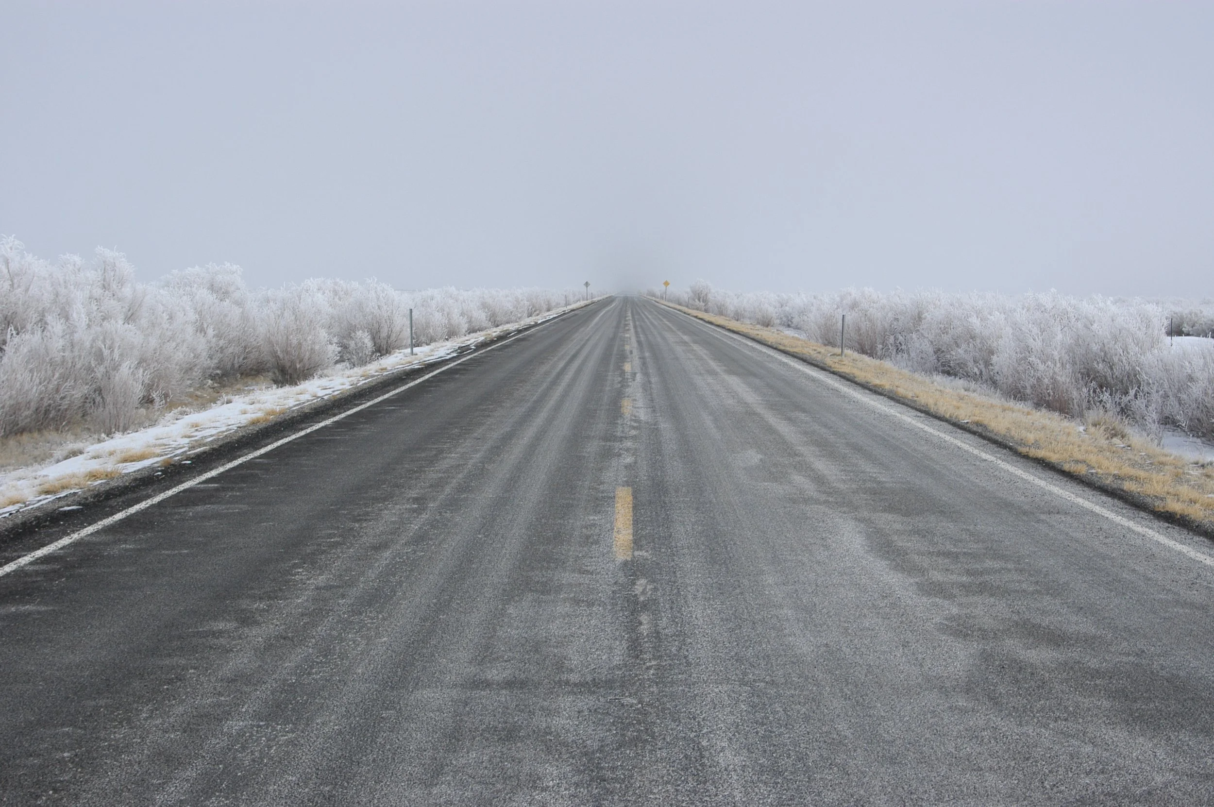 DSC_0076.jpg
