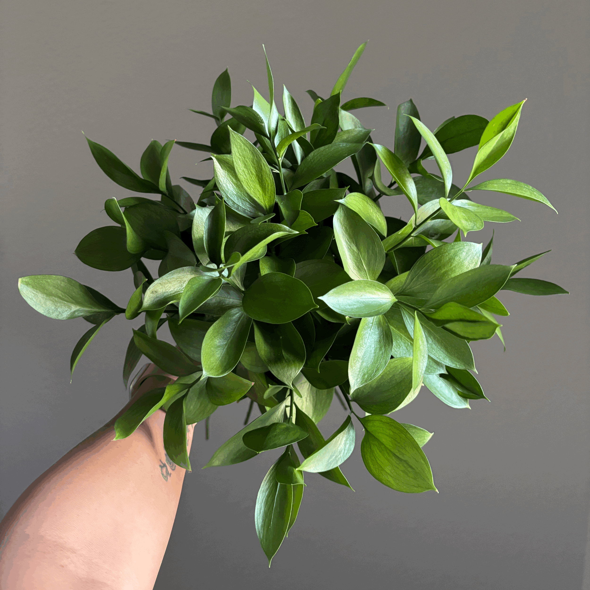 the little bouquet that could