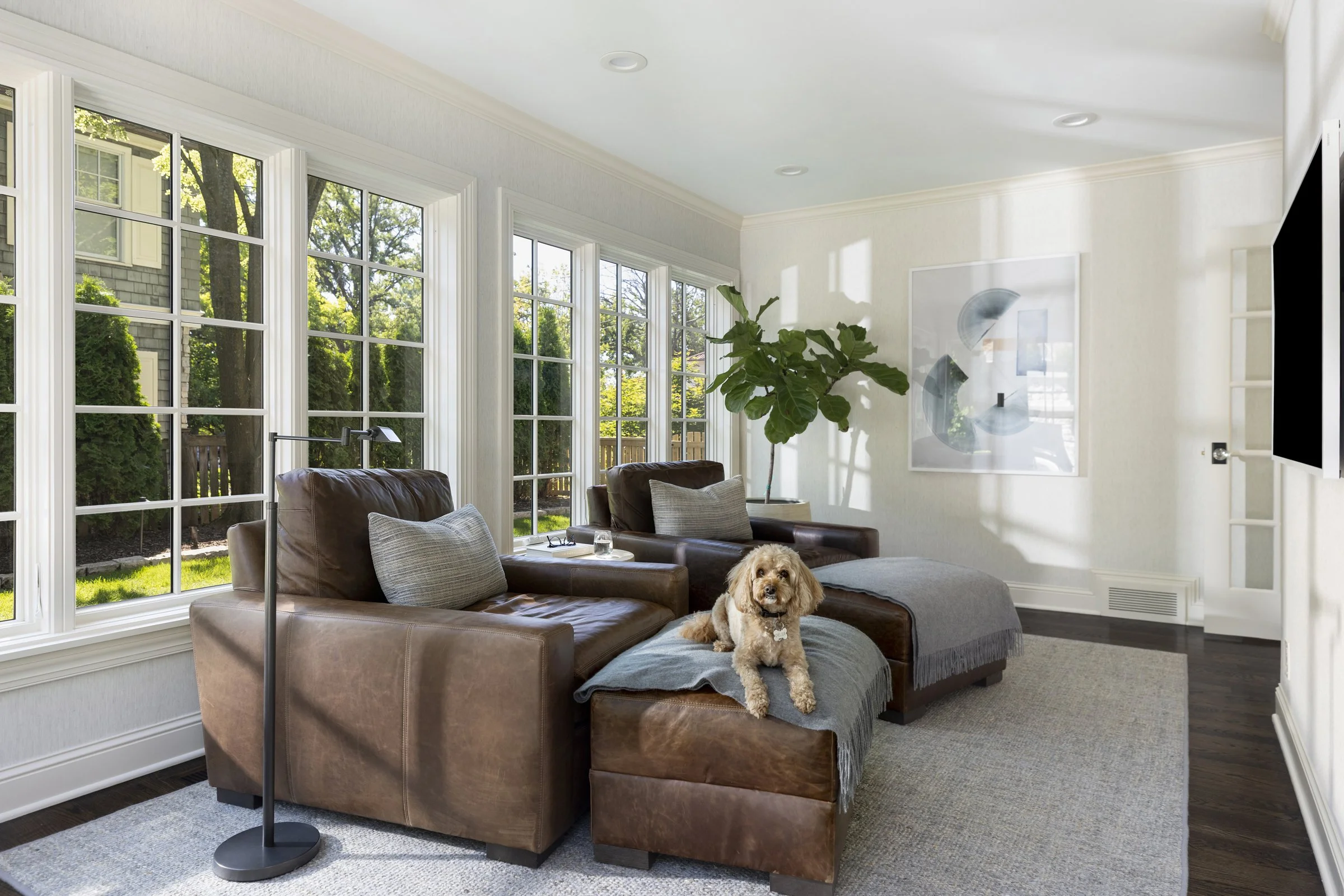 Living room with large windows, brown leather sofa with gray pillows, a dog lying on the sofa, a large abstract wall art, plant, and a floor lamp. Beautiful luxury interior design.