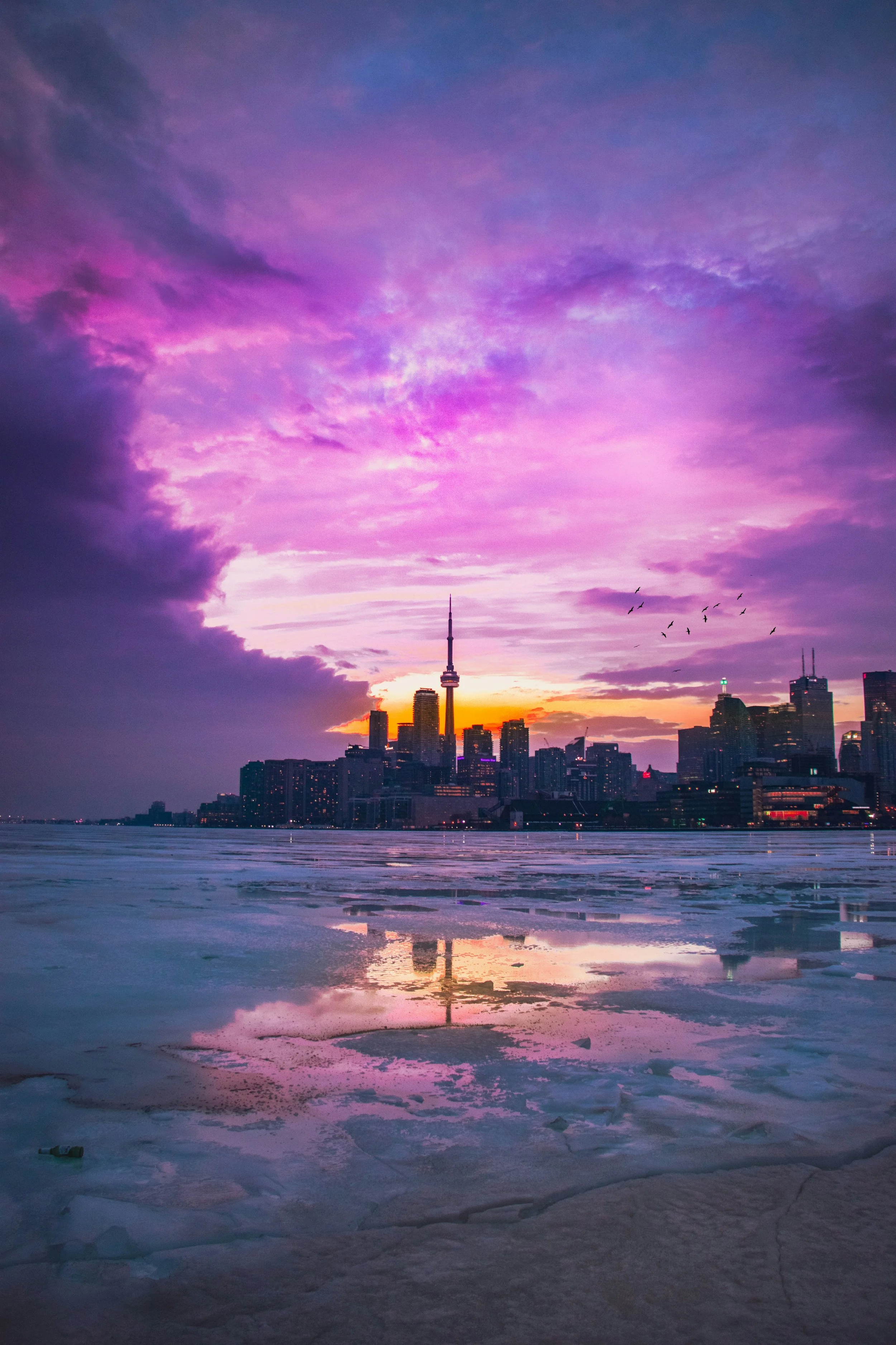 City skyline with a prominent tower silhouette during sunset, purple and pink clouds in the sky, reflecting on icy water, with birds flying in the distance.
