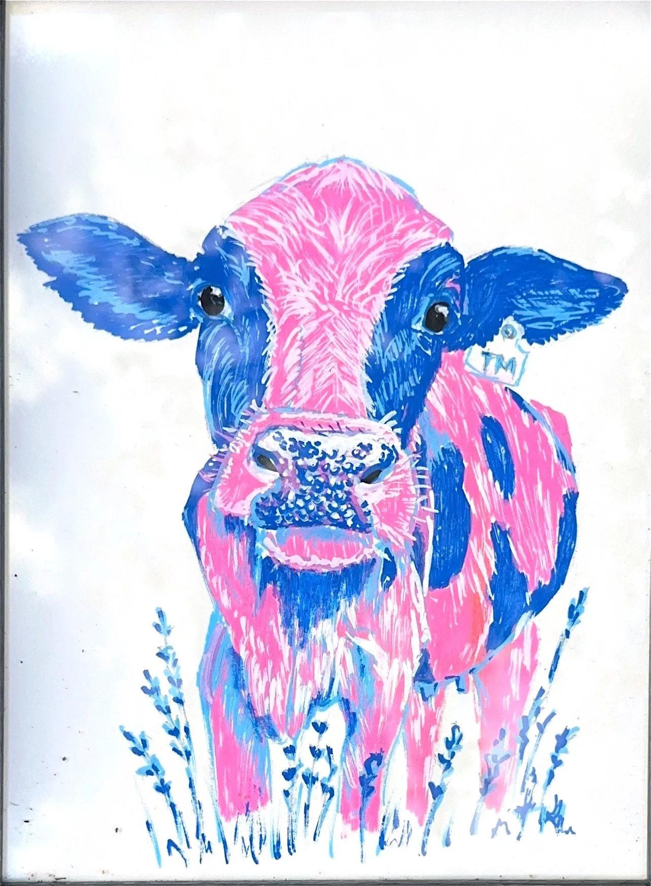 Cow.jpg