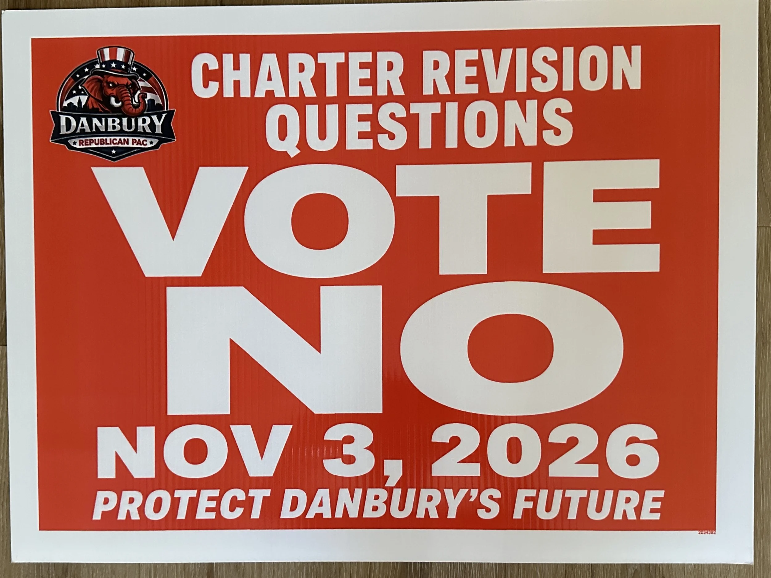 Charter Revision Poster