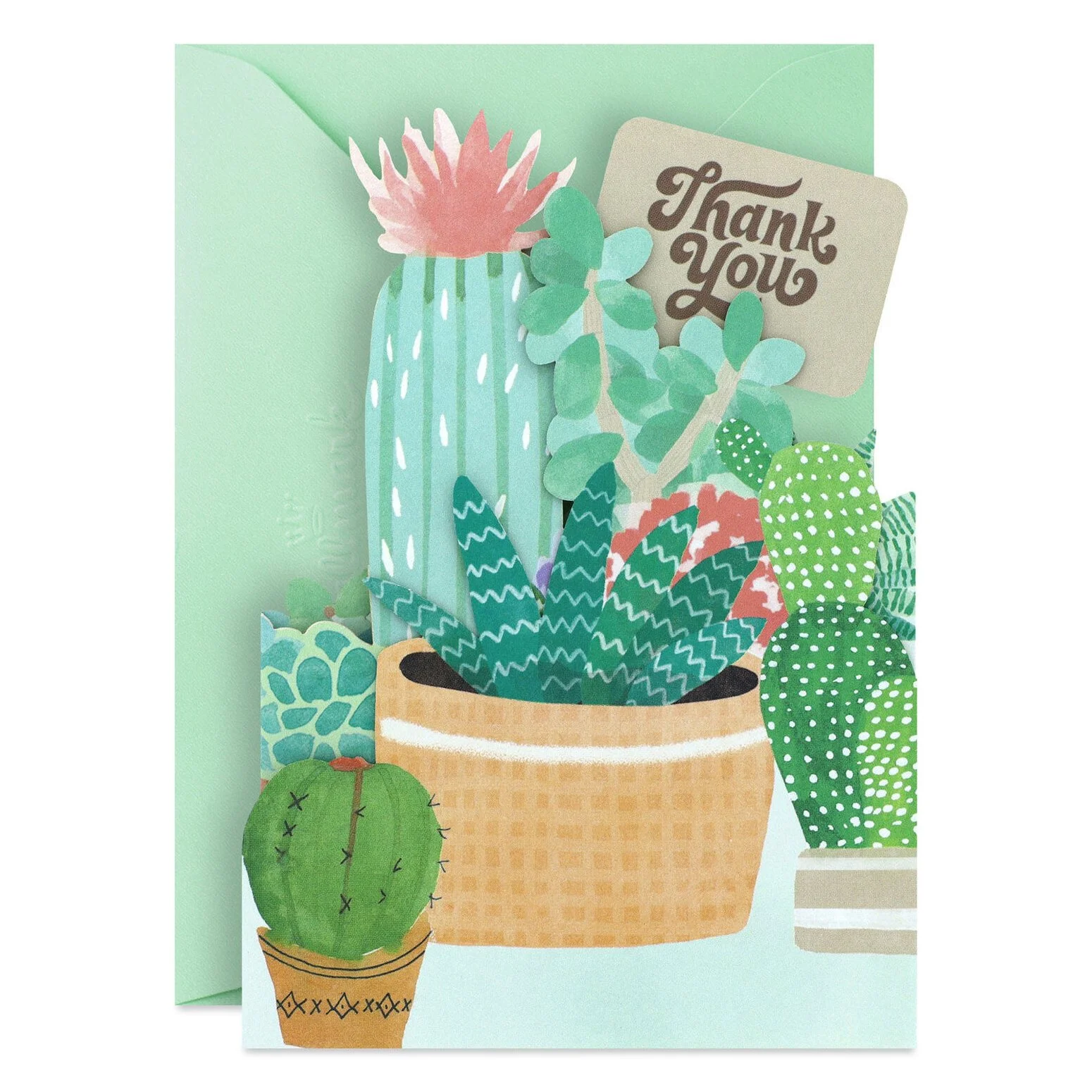 Plants.jpg
