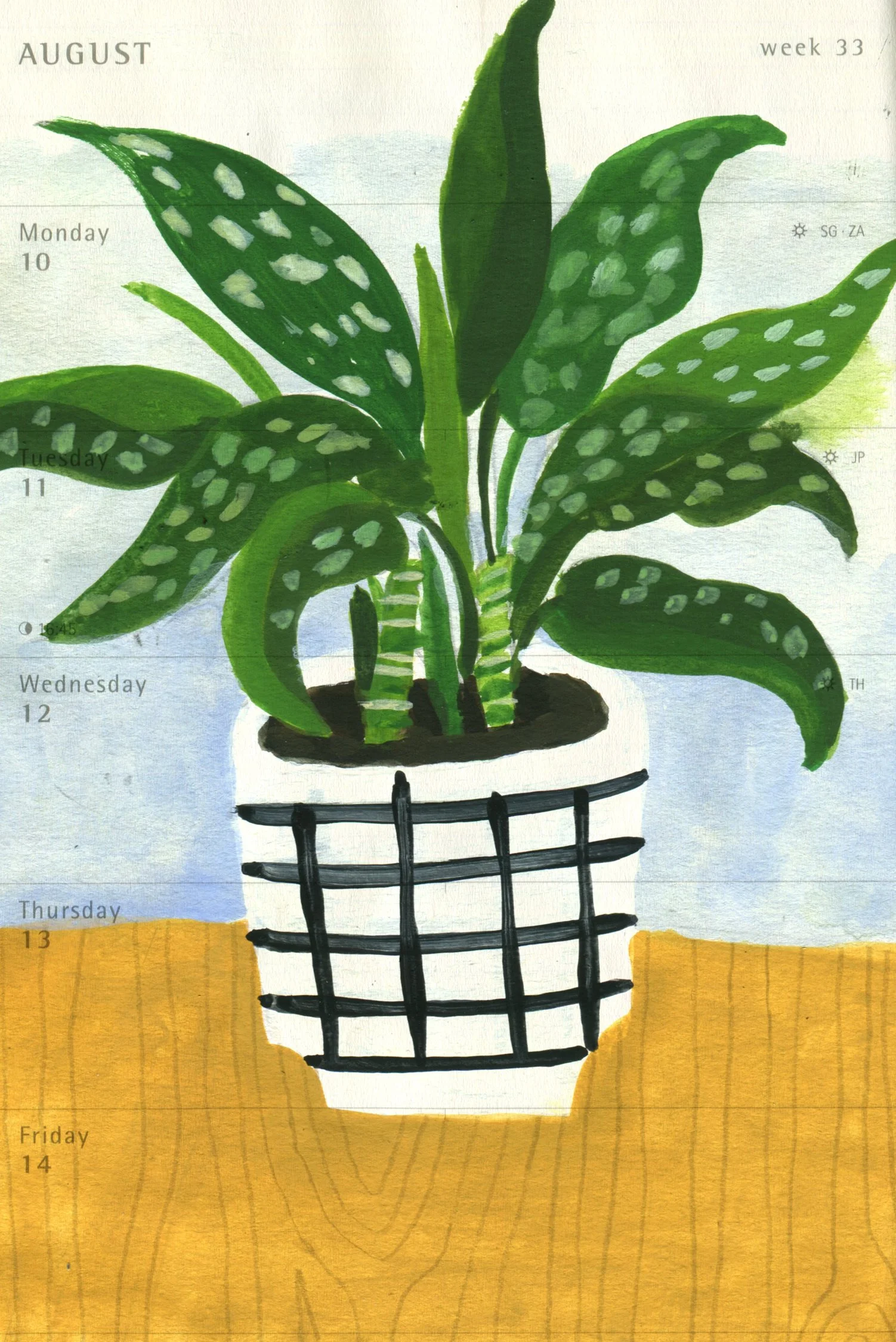 Plant In Vase