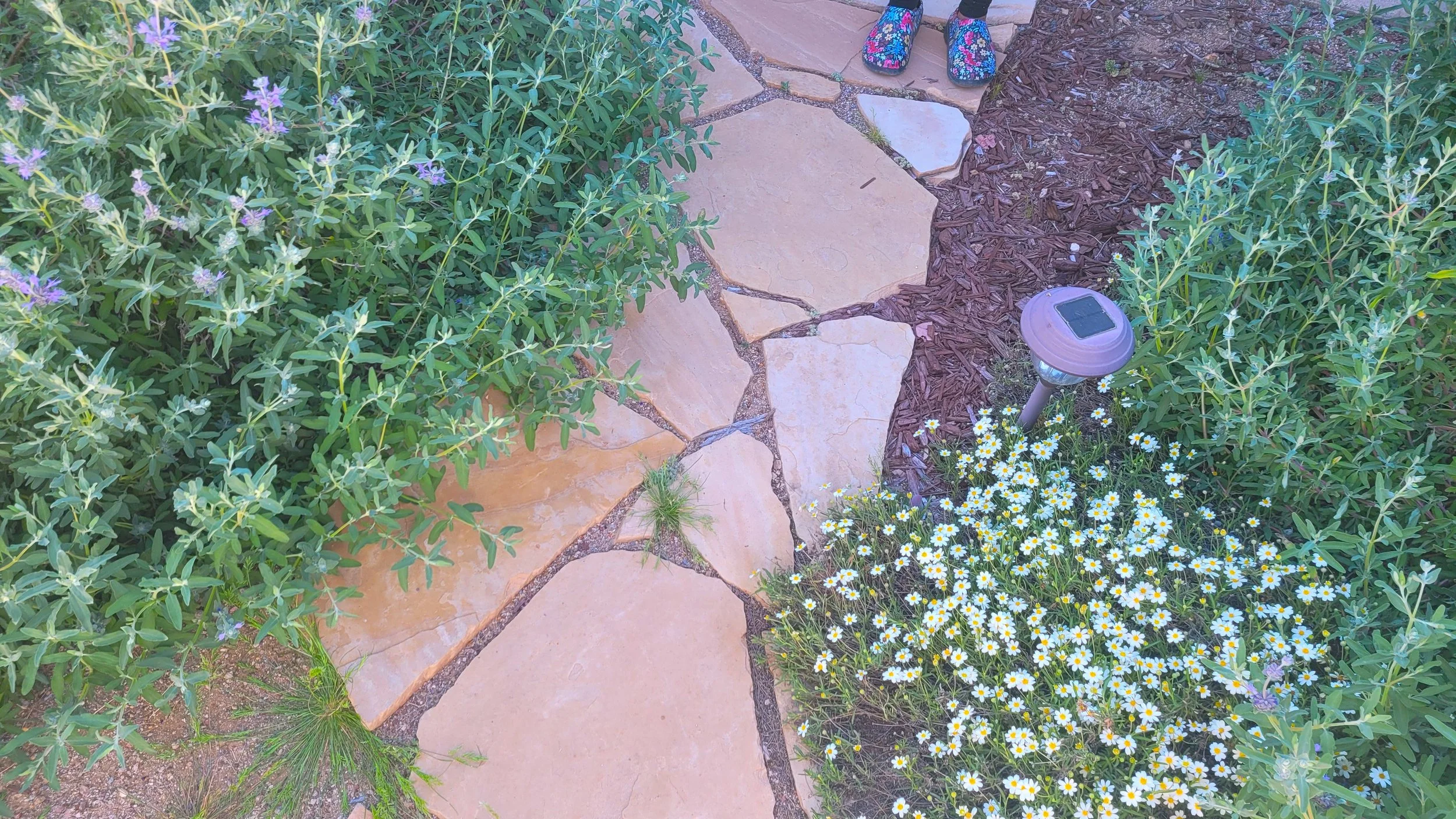 Holy Water Earthworks Tucson landscaping 1.jpg