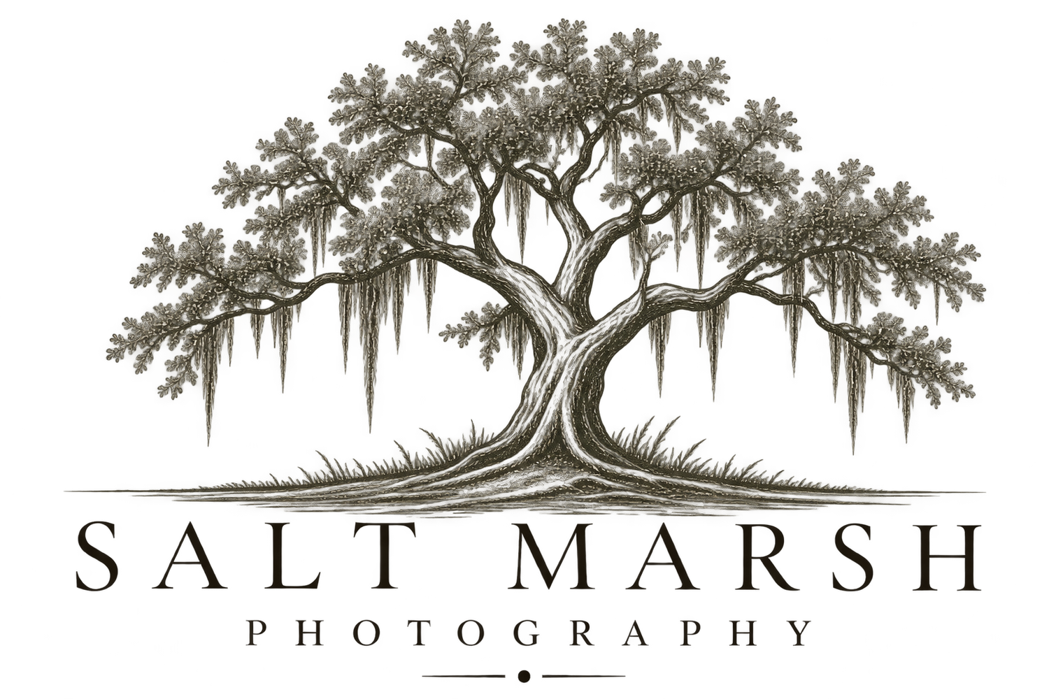 Salt Marsh Photography