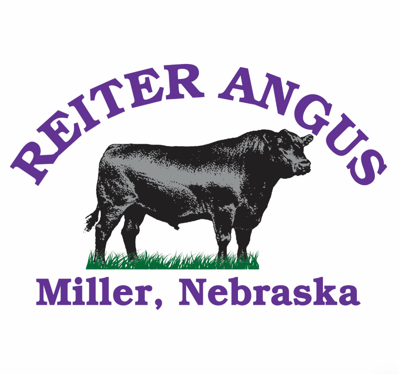 Reiter Angus