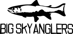 BSA_Web_Logo_2022_-_Black.png