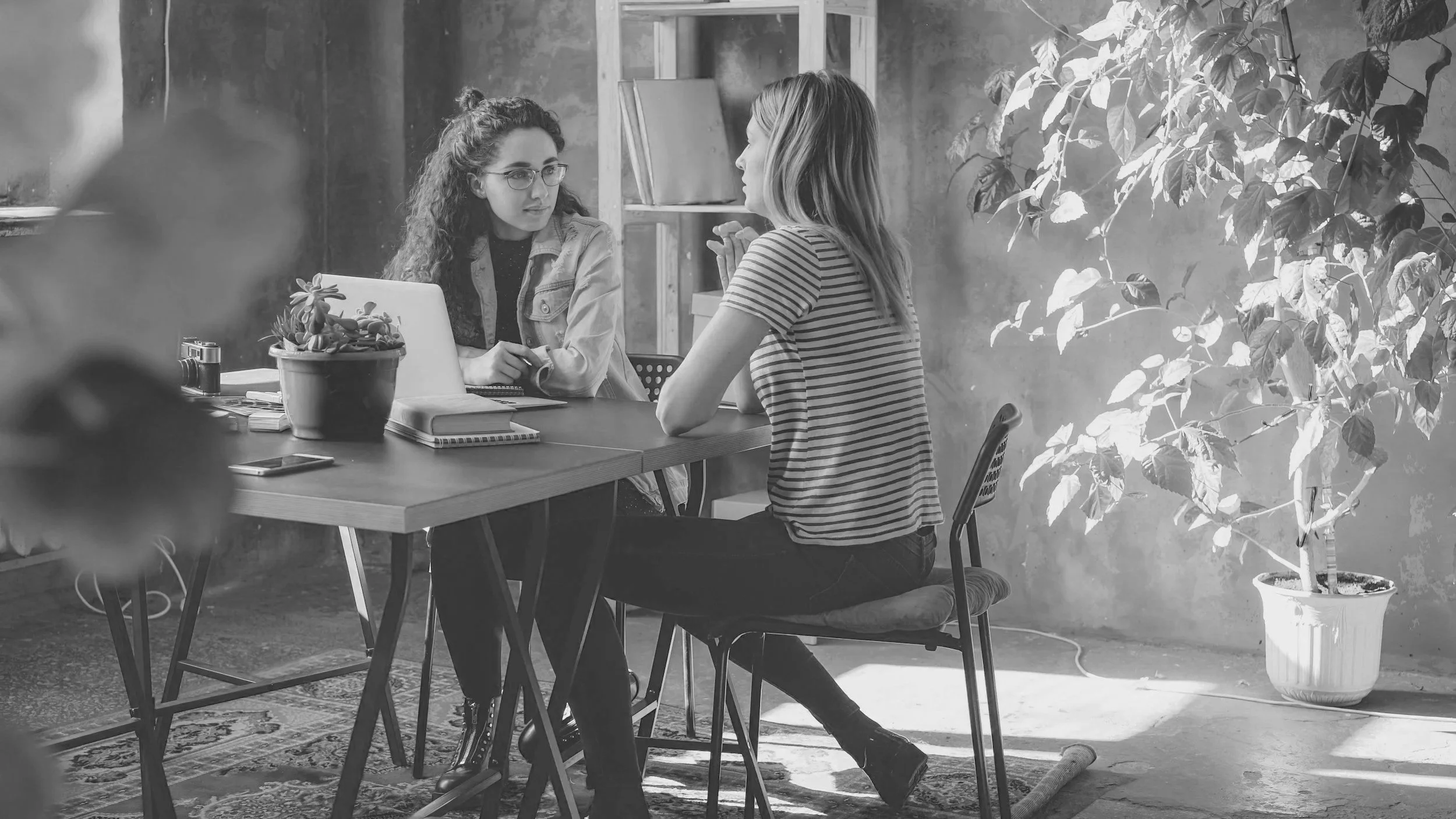 Two women are sitting at a table having a conversation in an indoor space with a large potted plant in the background. The woman on the left has curly hair, glasses, and is wearing a jacket, while the woman on the right has straight hair and is wearing a striped shirt.