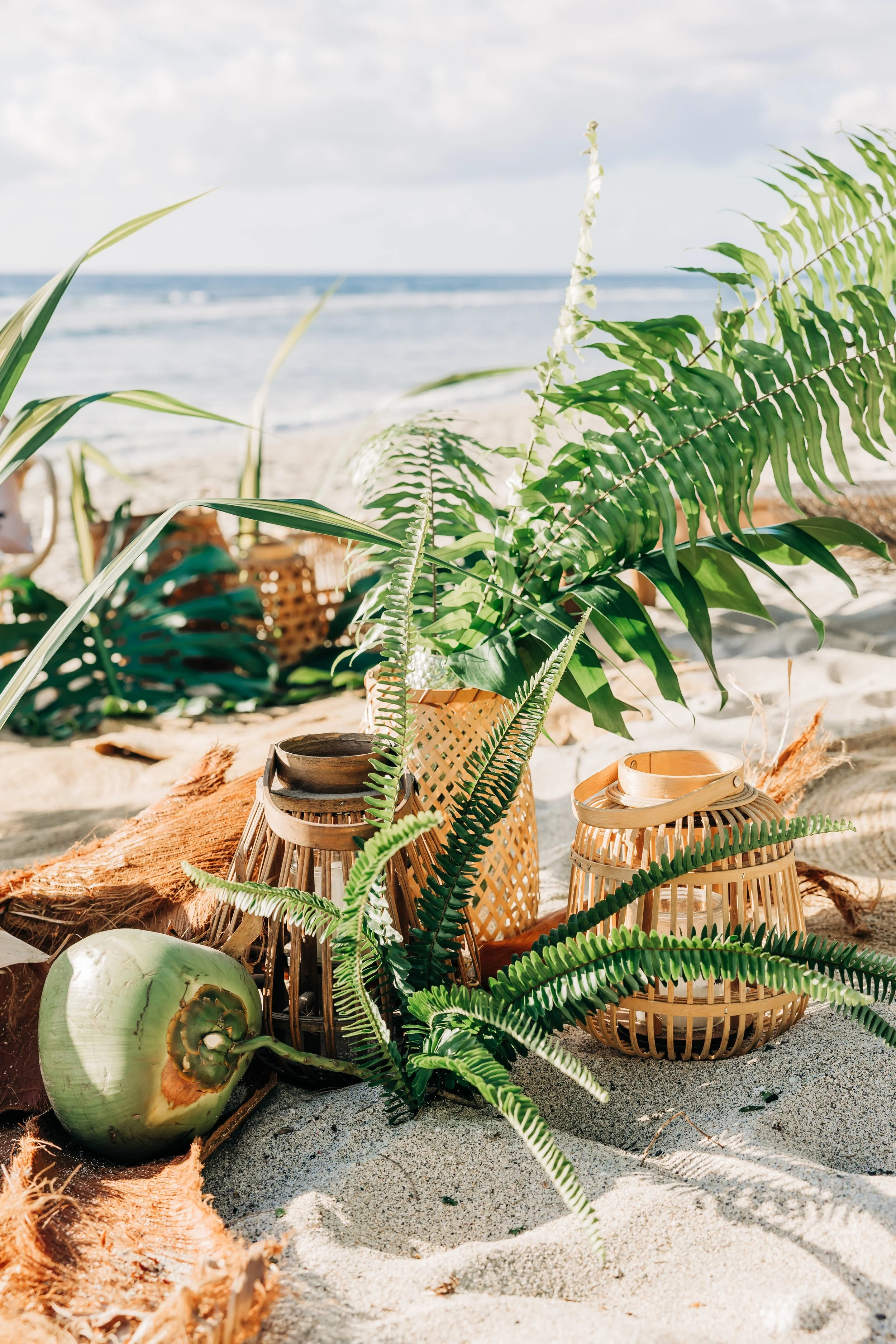 Plantes vertes sur une plage en bord de mer avec des paniers en rotin, un coco, et un tapis en bois, sous un ciel nuageux.