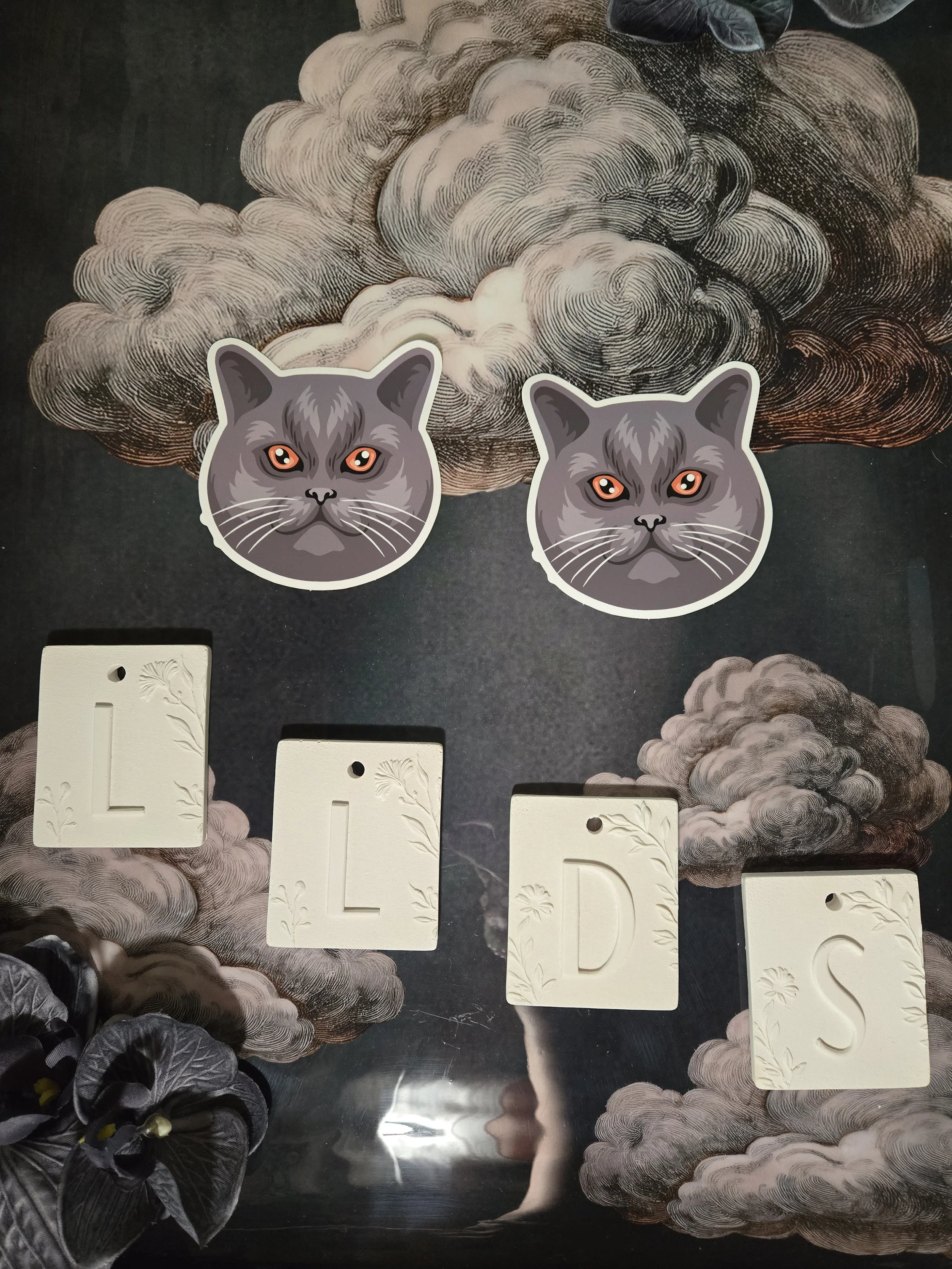 Lot de 2 stickers transparents