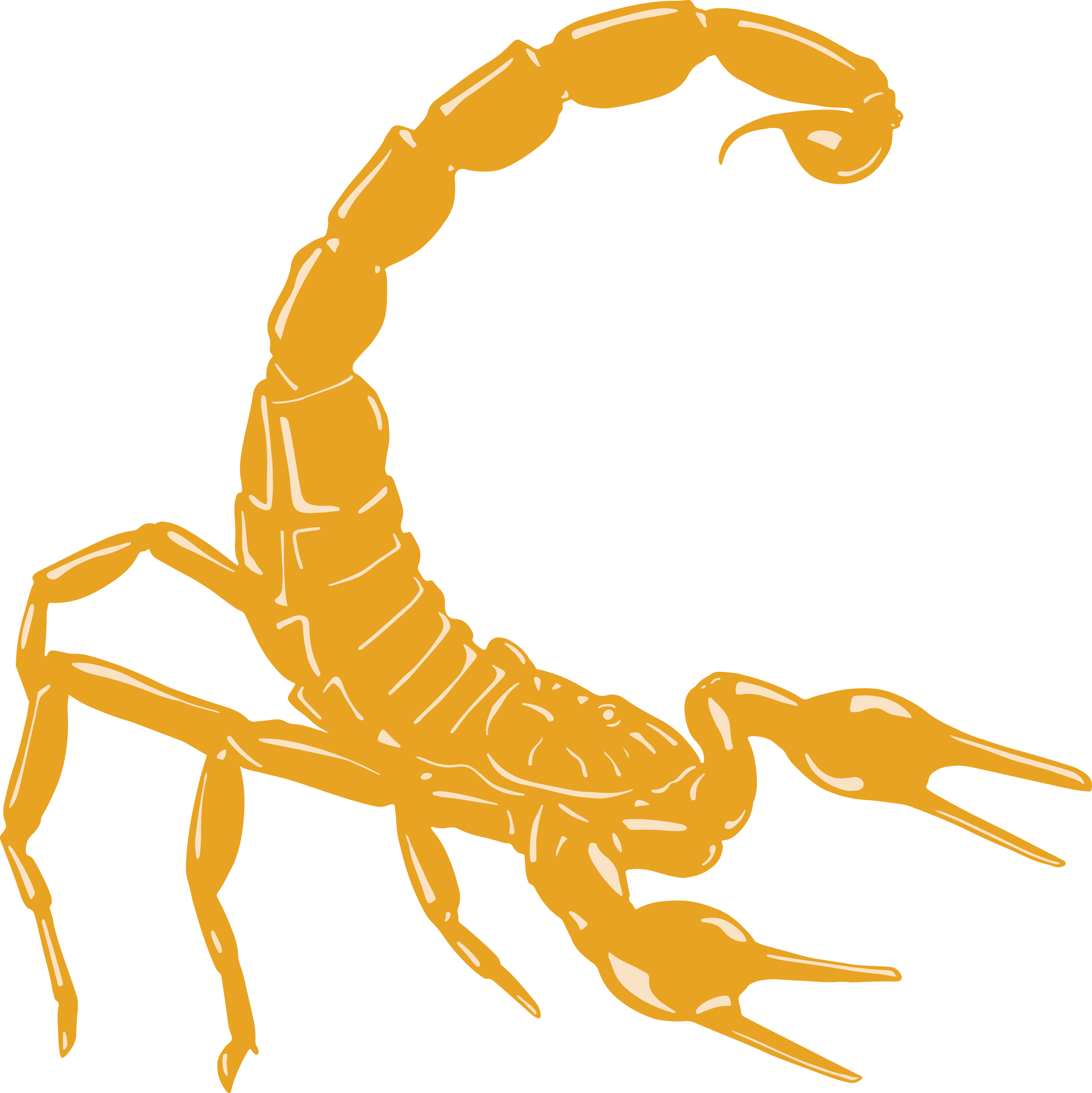 Stranded Ops scorpion brand icon, orange line illustration