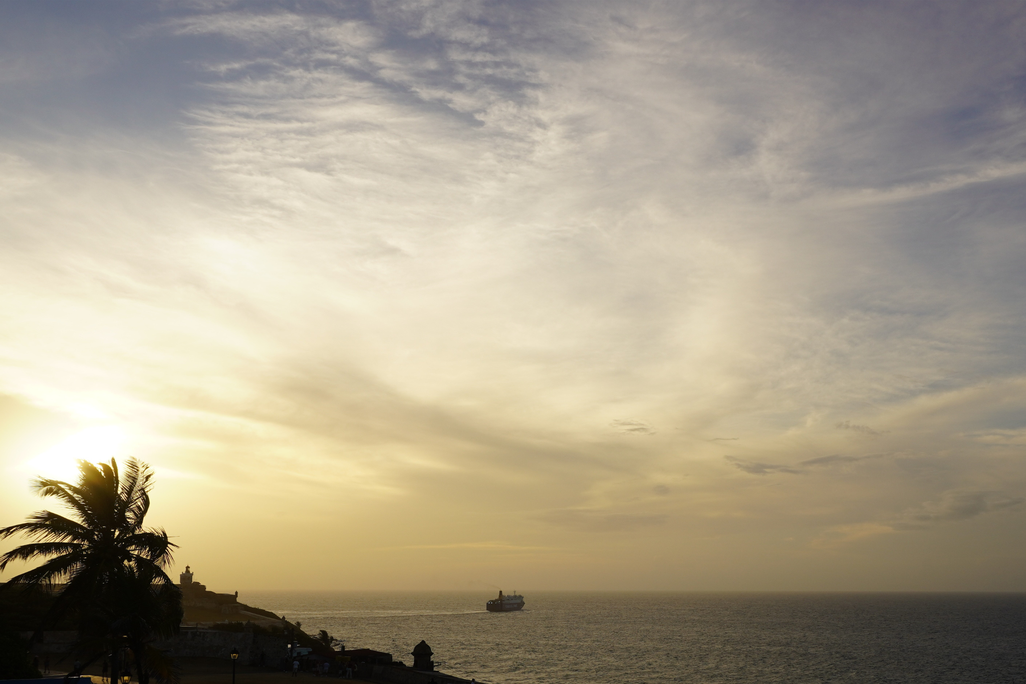 Sunset over the ocean with a silhouette of a palm tree in the foreground, and a ship sailing on the water.
