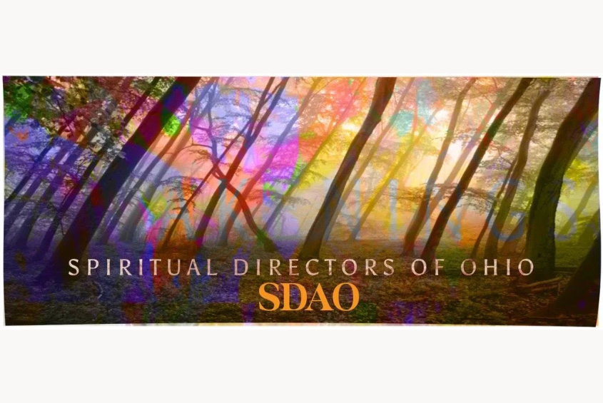 SDAO Event - Zoom