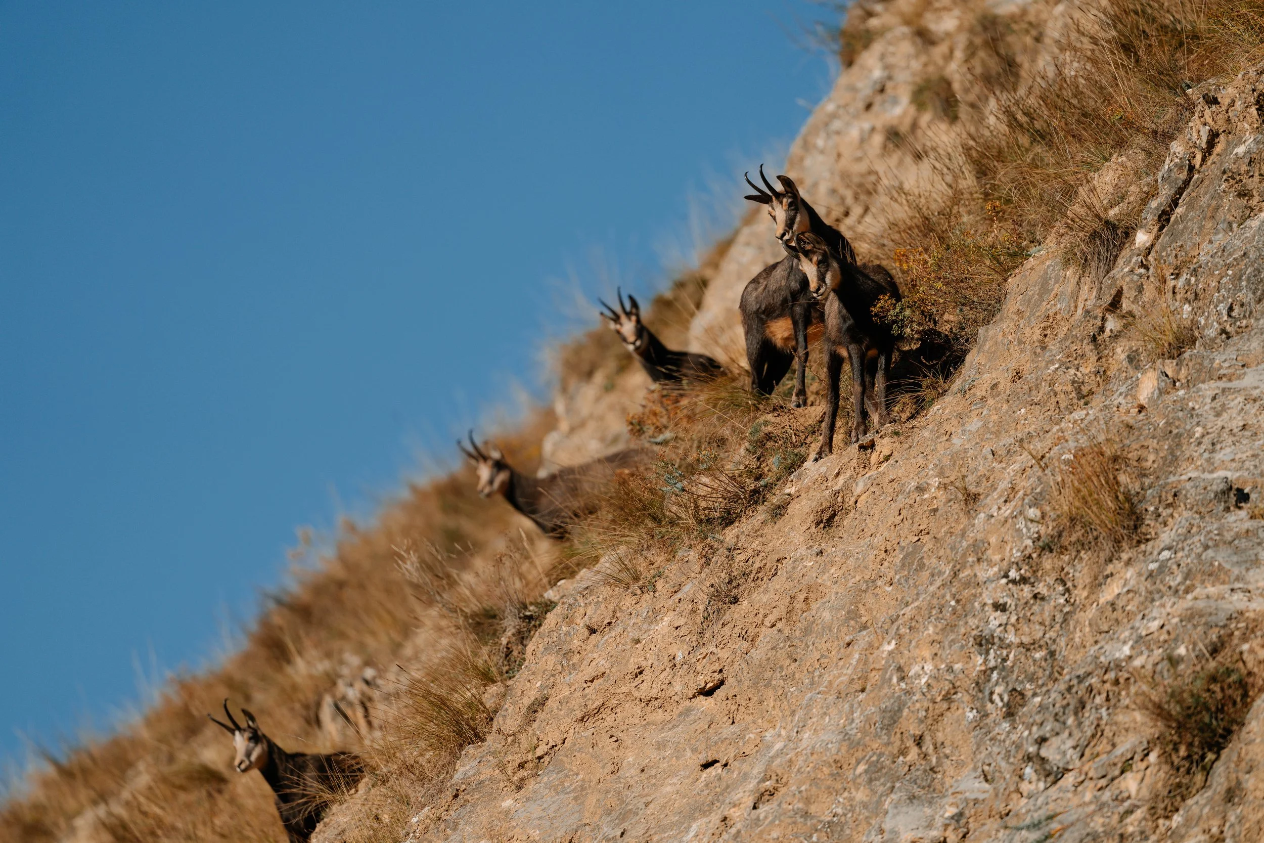 20241030_suisse_107.jpg