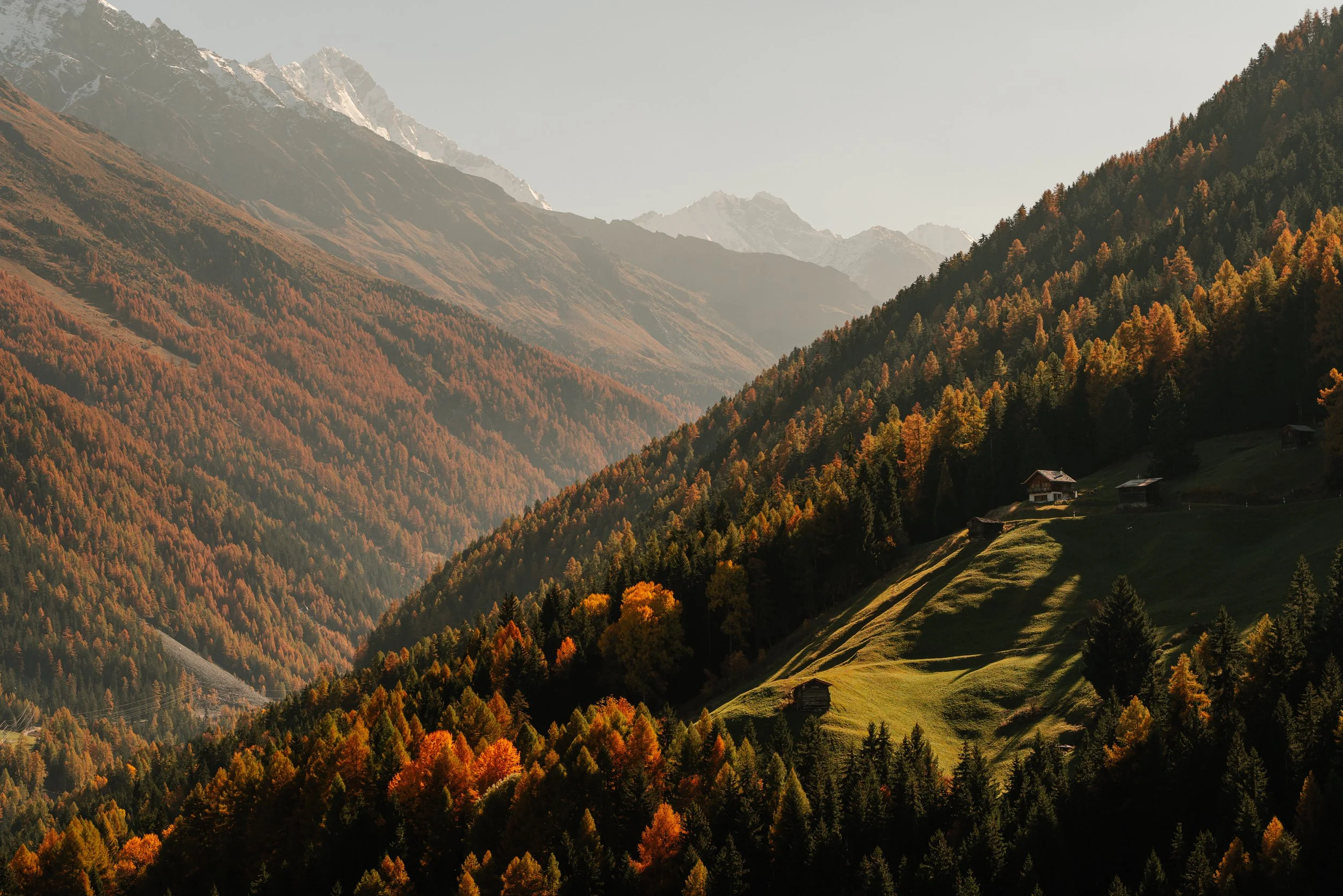 20241030_suisse_117.jpg