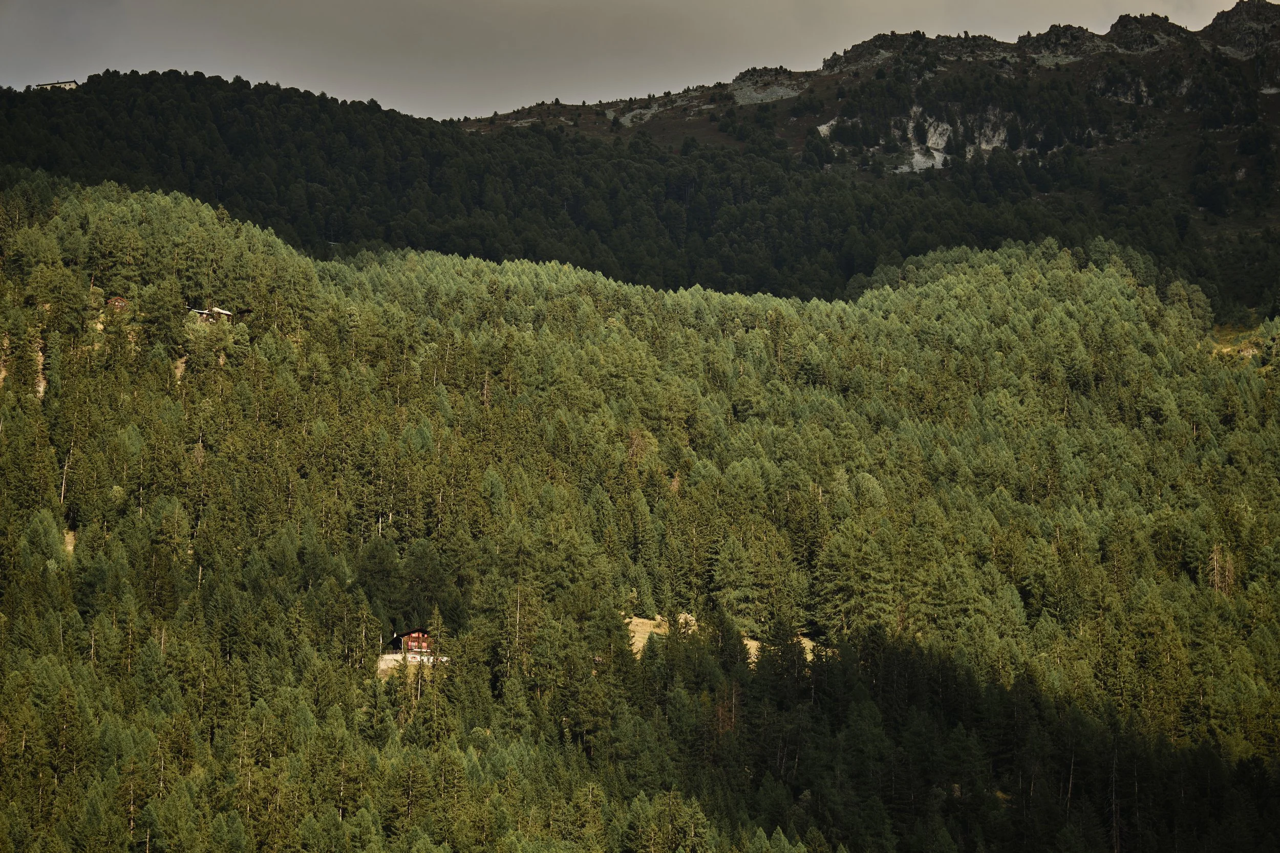 20220822_suisse_0014.jpg