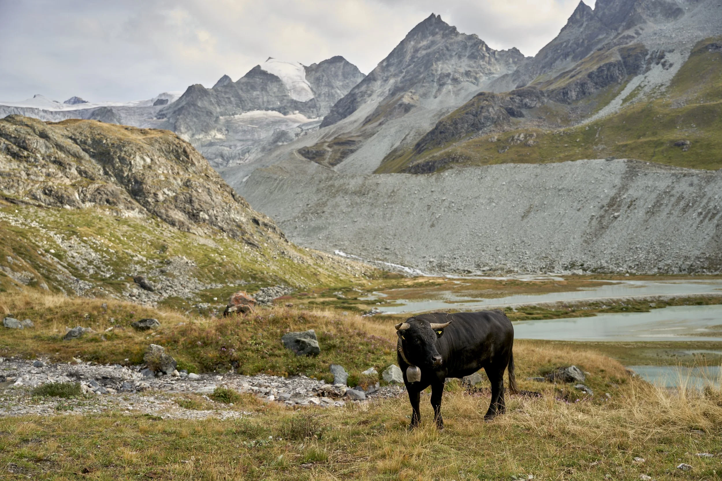 20220822_suisse_0262.jpg