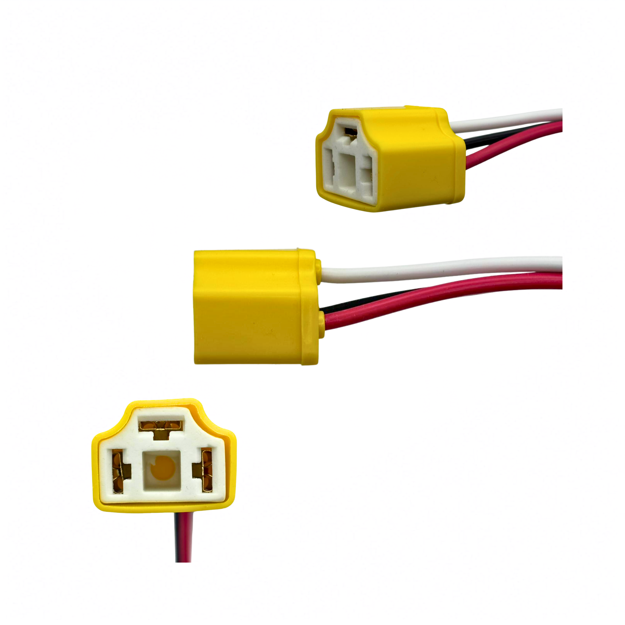 01P (2).png