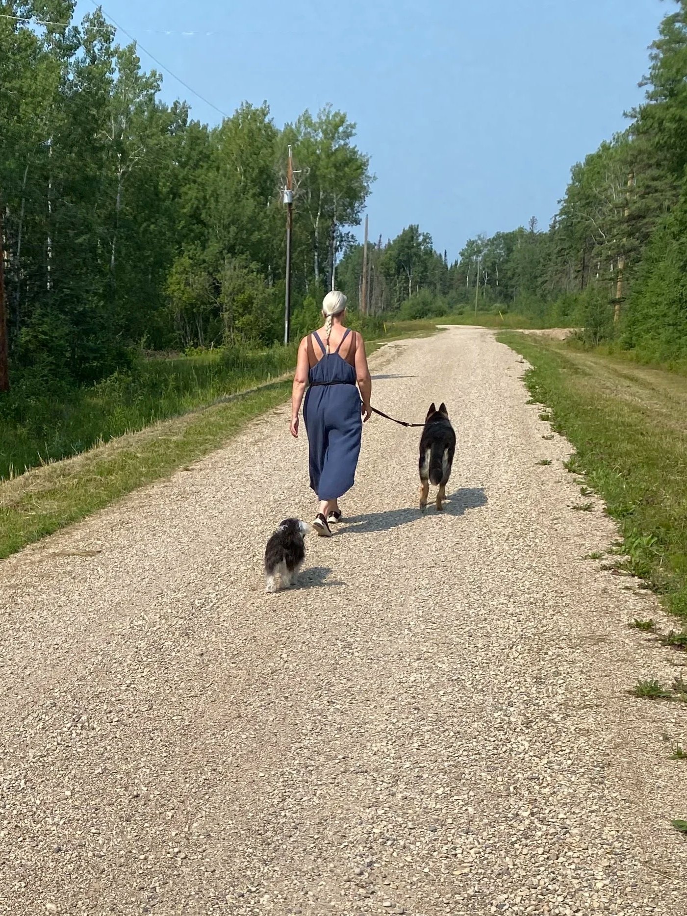 A woman walking with two dogs on a gravel road through a forested area on a sunny day with a blue sky.