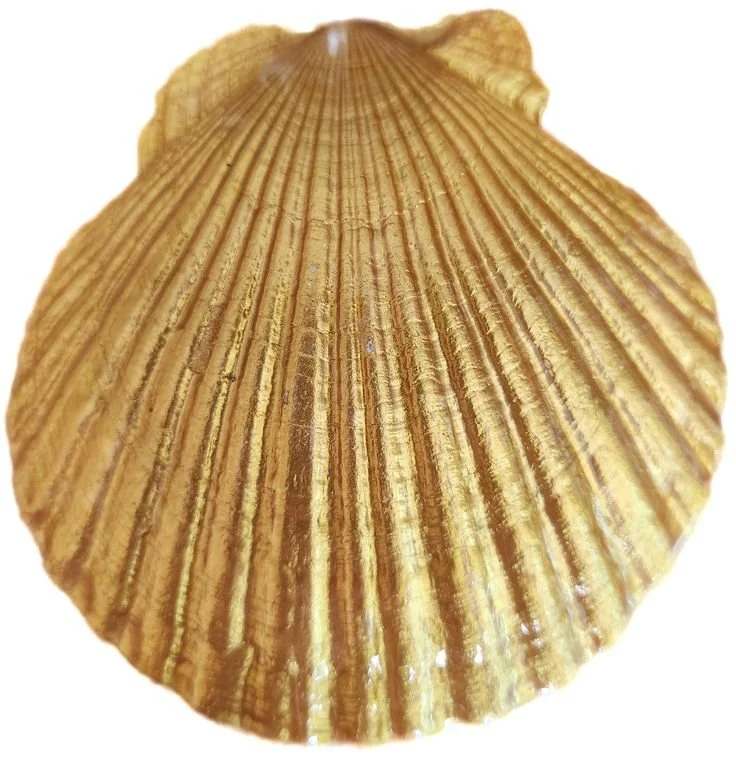 Grand Masters Council meeting
