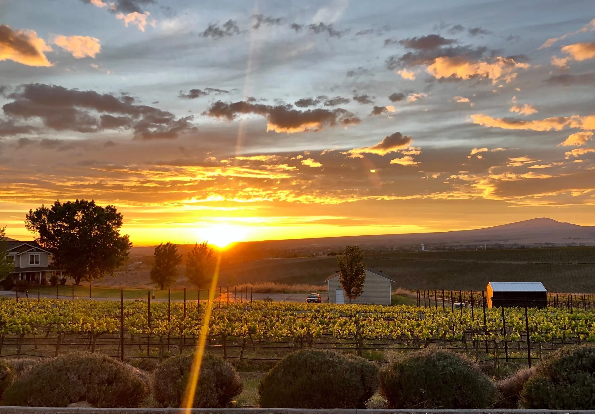Sunset over a rural landscape from Corvus vineyard