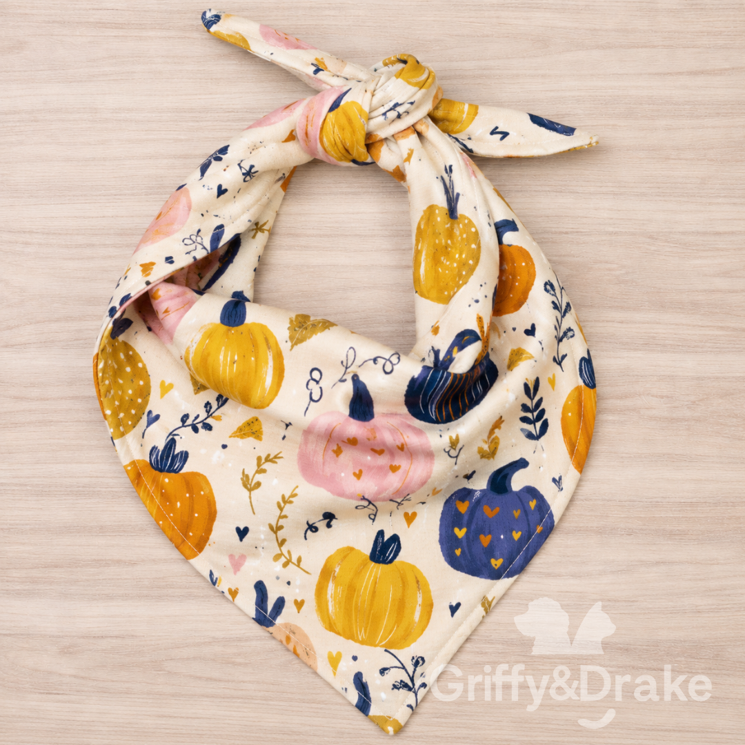 Pretty Pumpkins Bandana.png