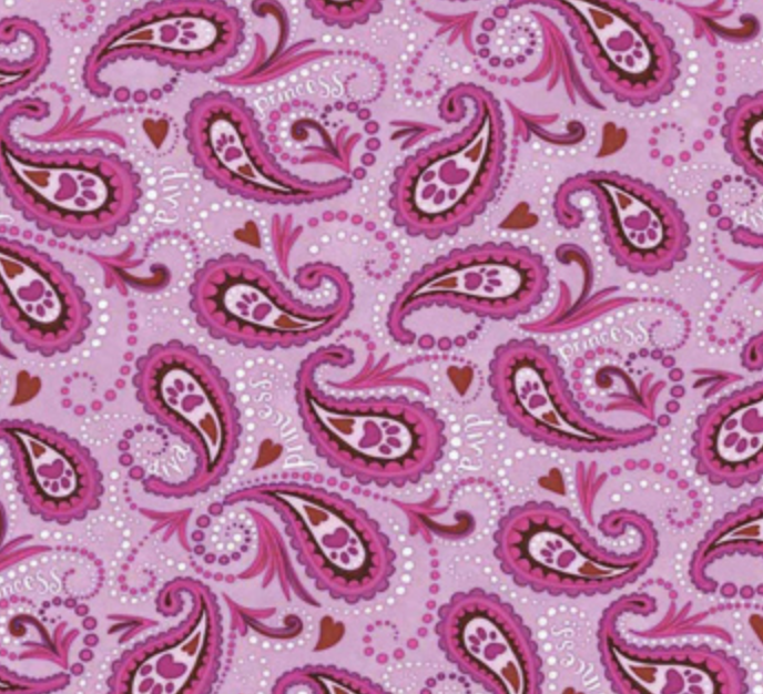 Image 8-29-26 at 3.57 PM.png