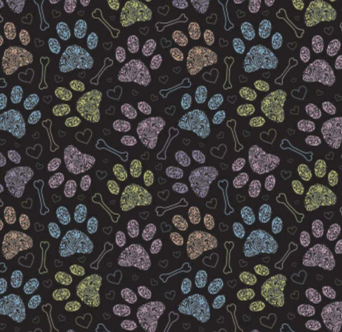 Image 8-29-26 at 12.59 PM.png