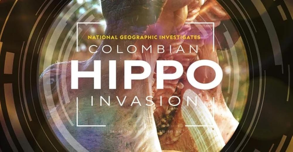 Hippos.jpg
