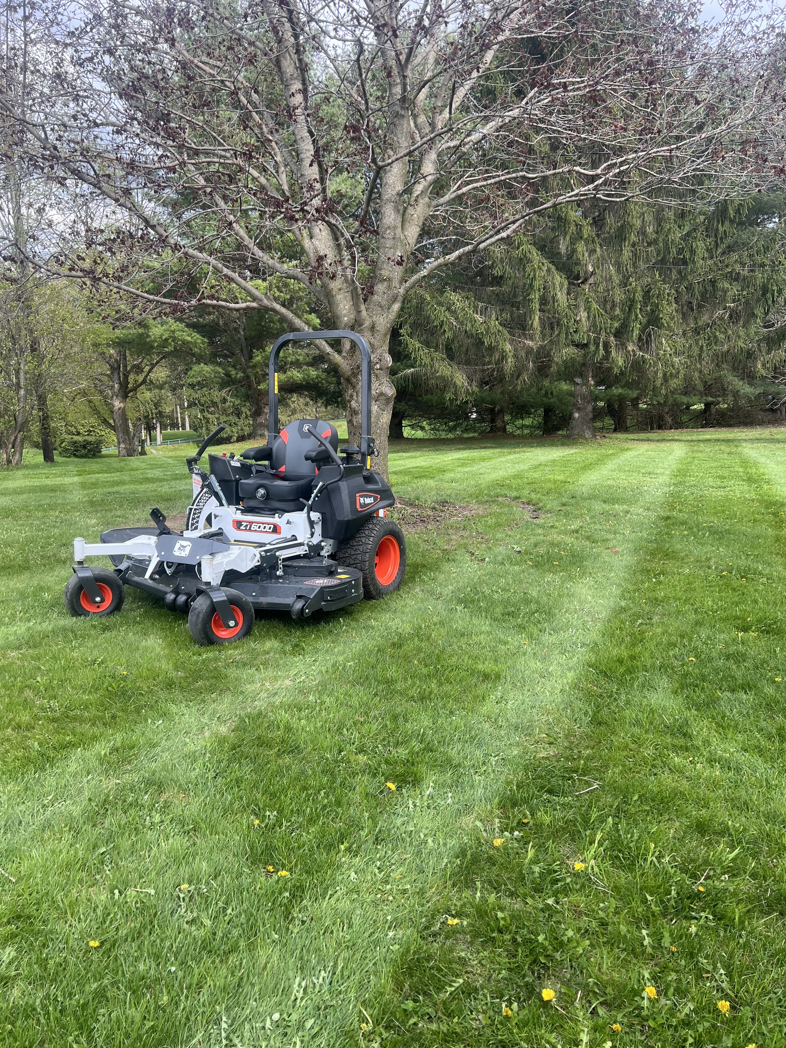 A riding lawn mower on a grassy lawn in a park with trees, including one with visible branches and some remaining leaves.