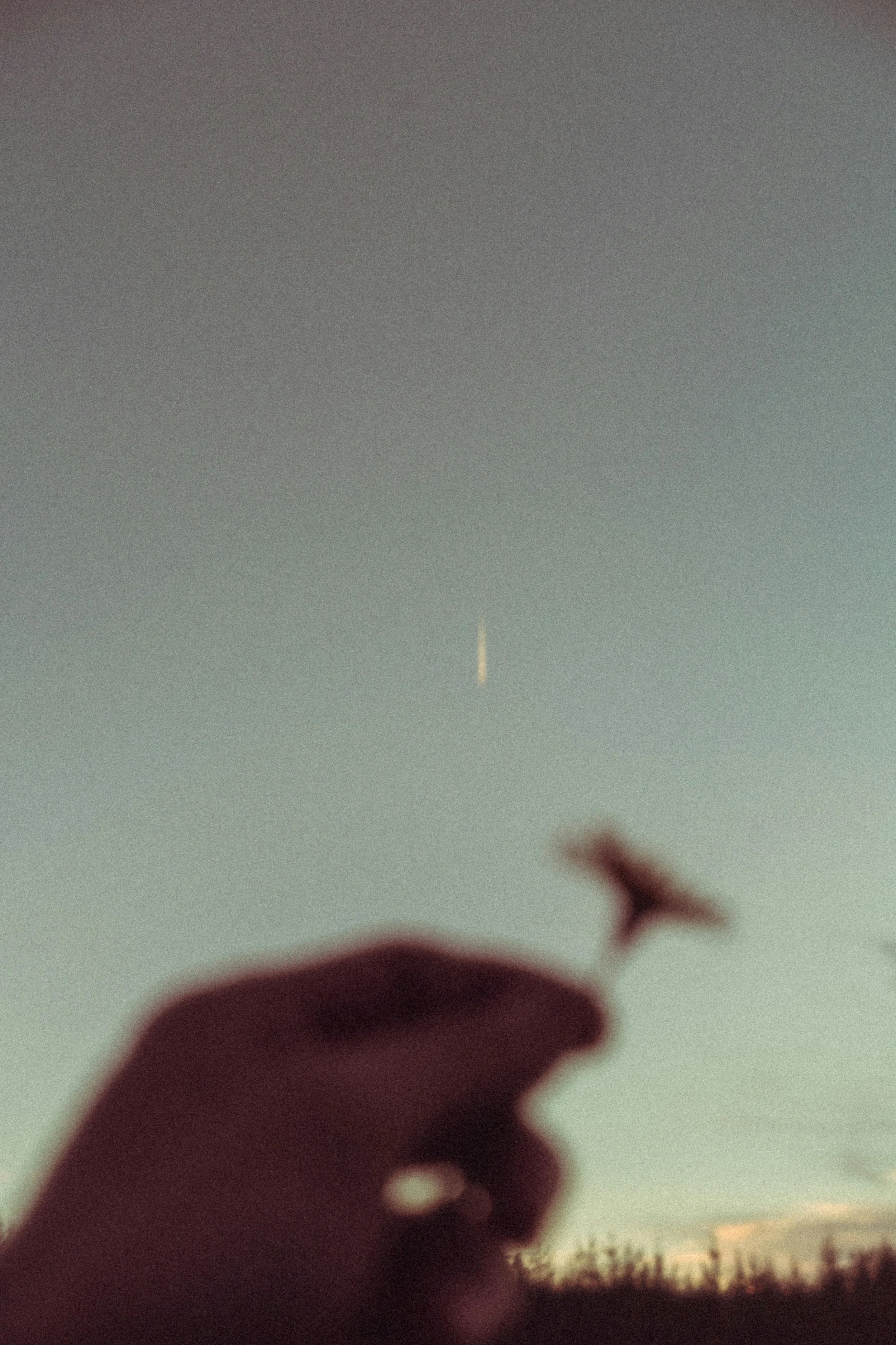 Blurry silhouette of a hand holding a small object, with a sunset or sunrise sky and silhouettes of trees in the background.