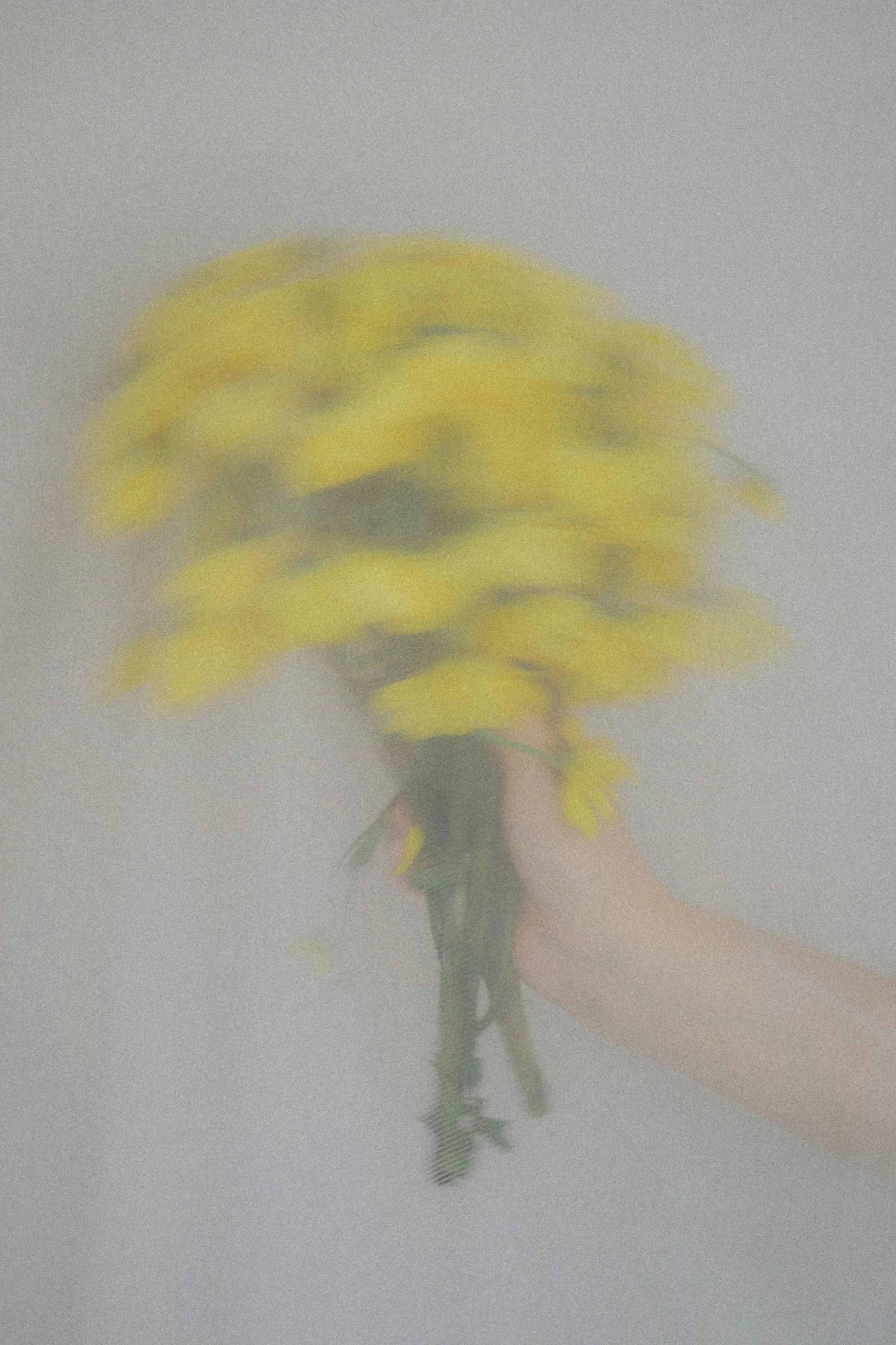 A hand holding a partially opened yellow flower with a green stem and leaves against a plain gray background.