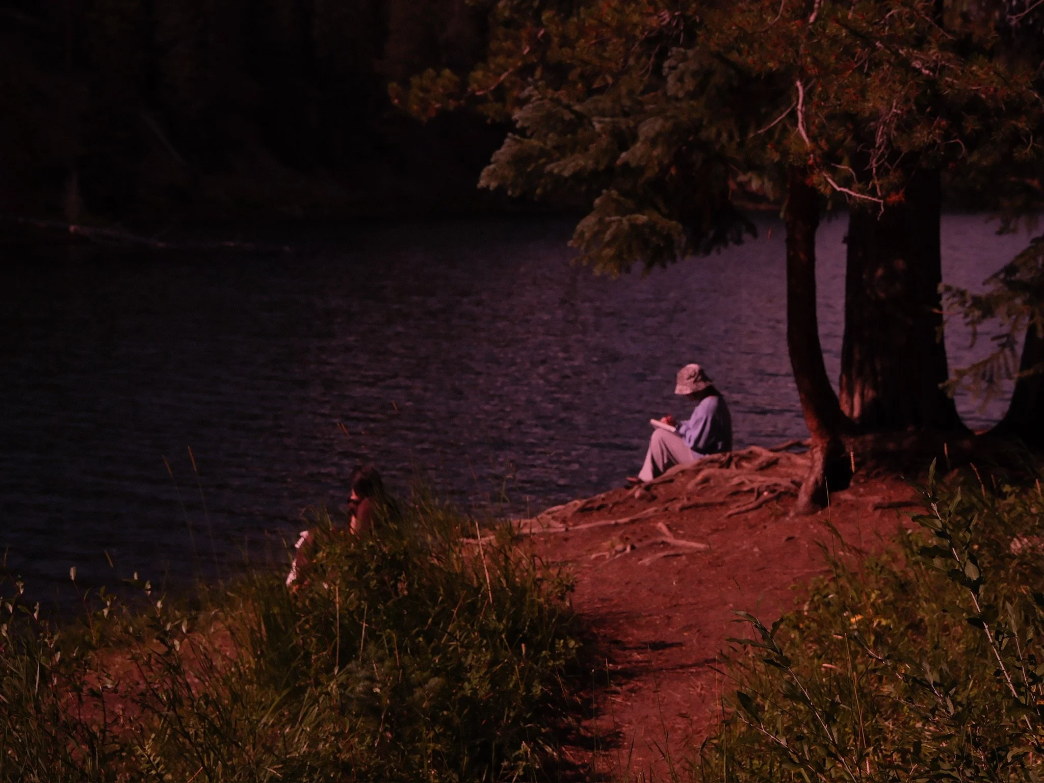 A person sitting by a lake at night, wearing a hat and reading a book, under trees with dim lighting.